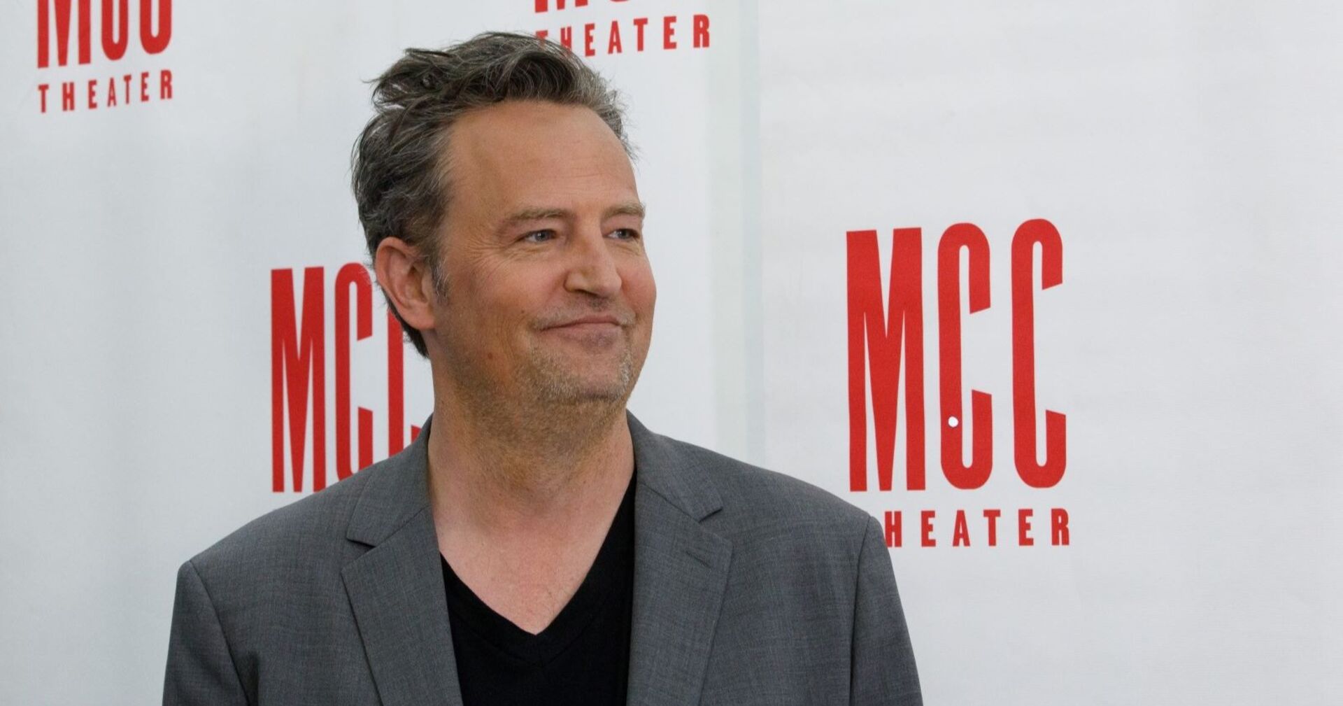Matthew Perry im Porträt