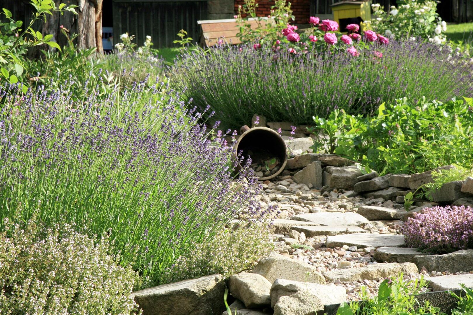 Mediterraner Garten mit Kiesweg | Credit: iStock.com/fotokate