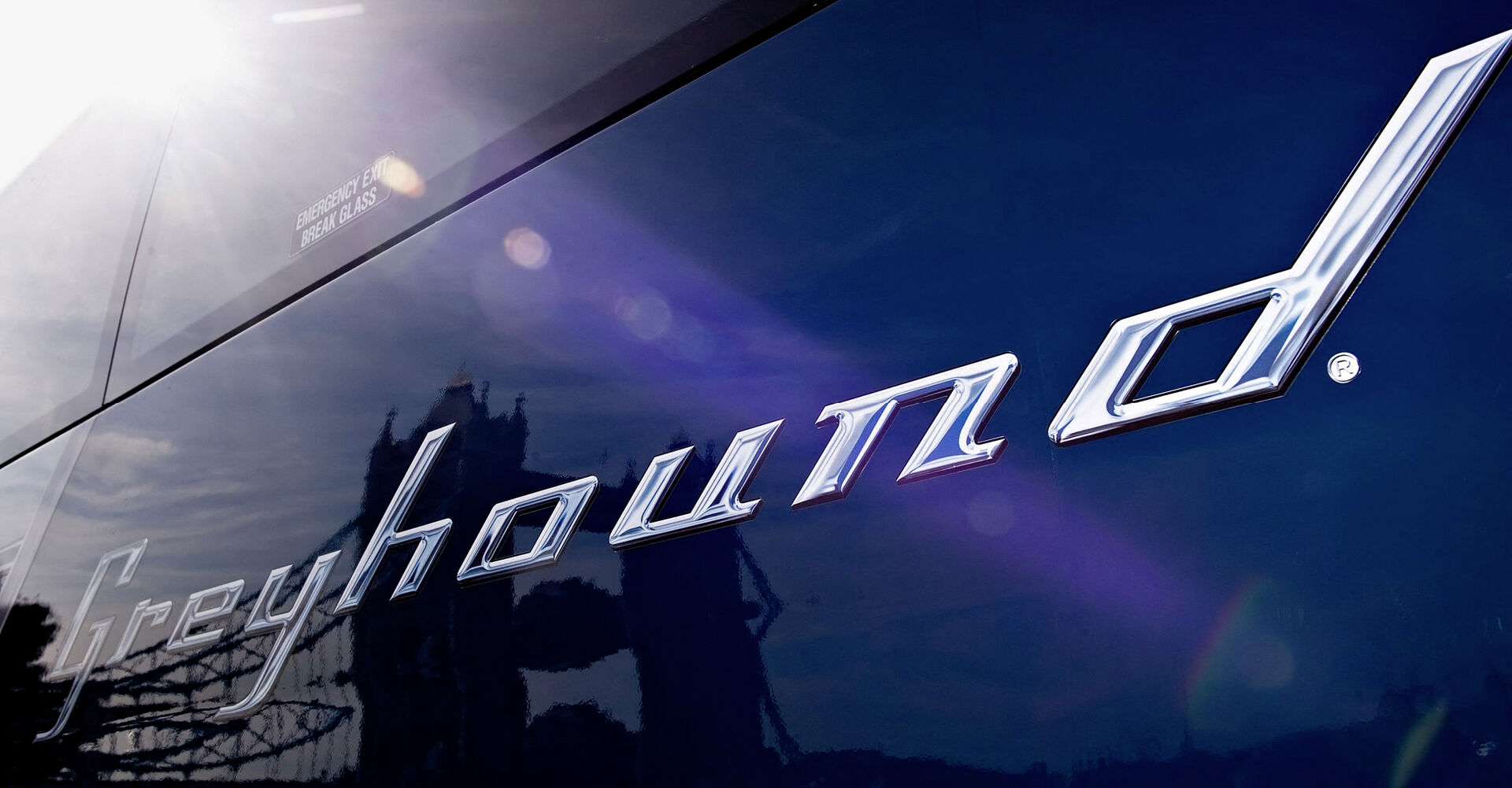 Greyhound