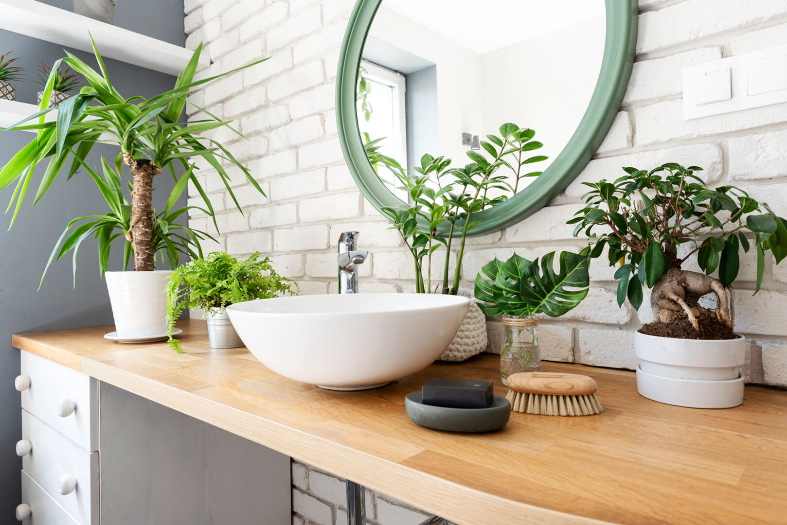 Pflanzen stehen neben einem Waschbecken | Credit: iStock.com/Sabina Galja