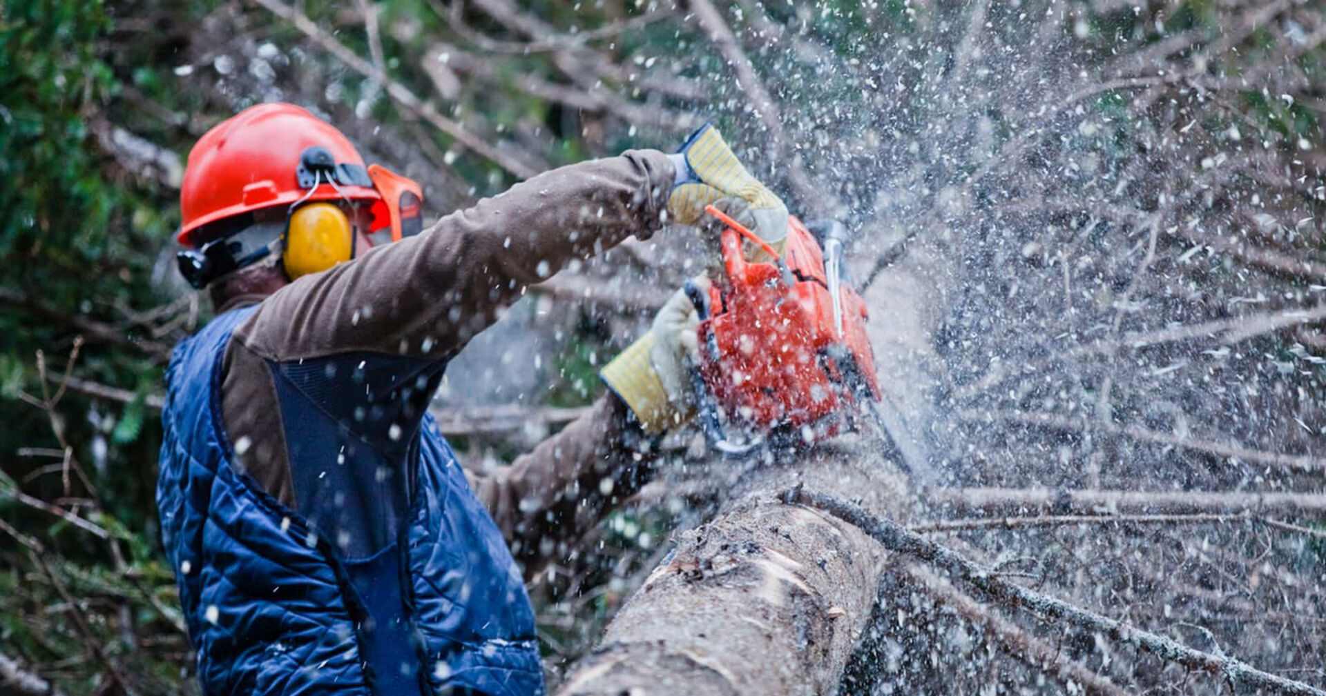 Eine Mann mit Motorsäge bei Forstarbeiten.