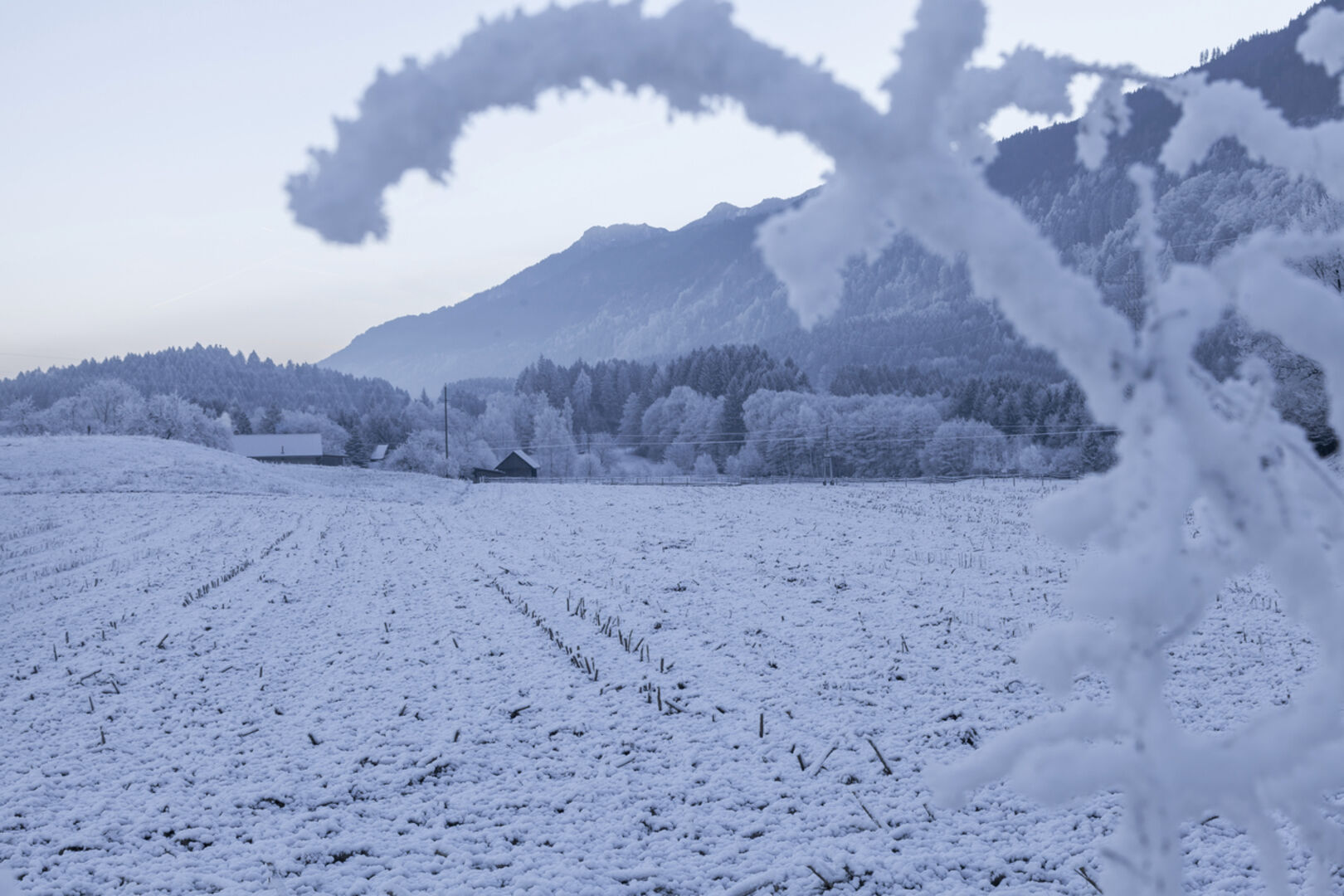 Winterlandschaft