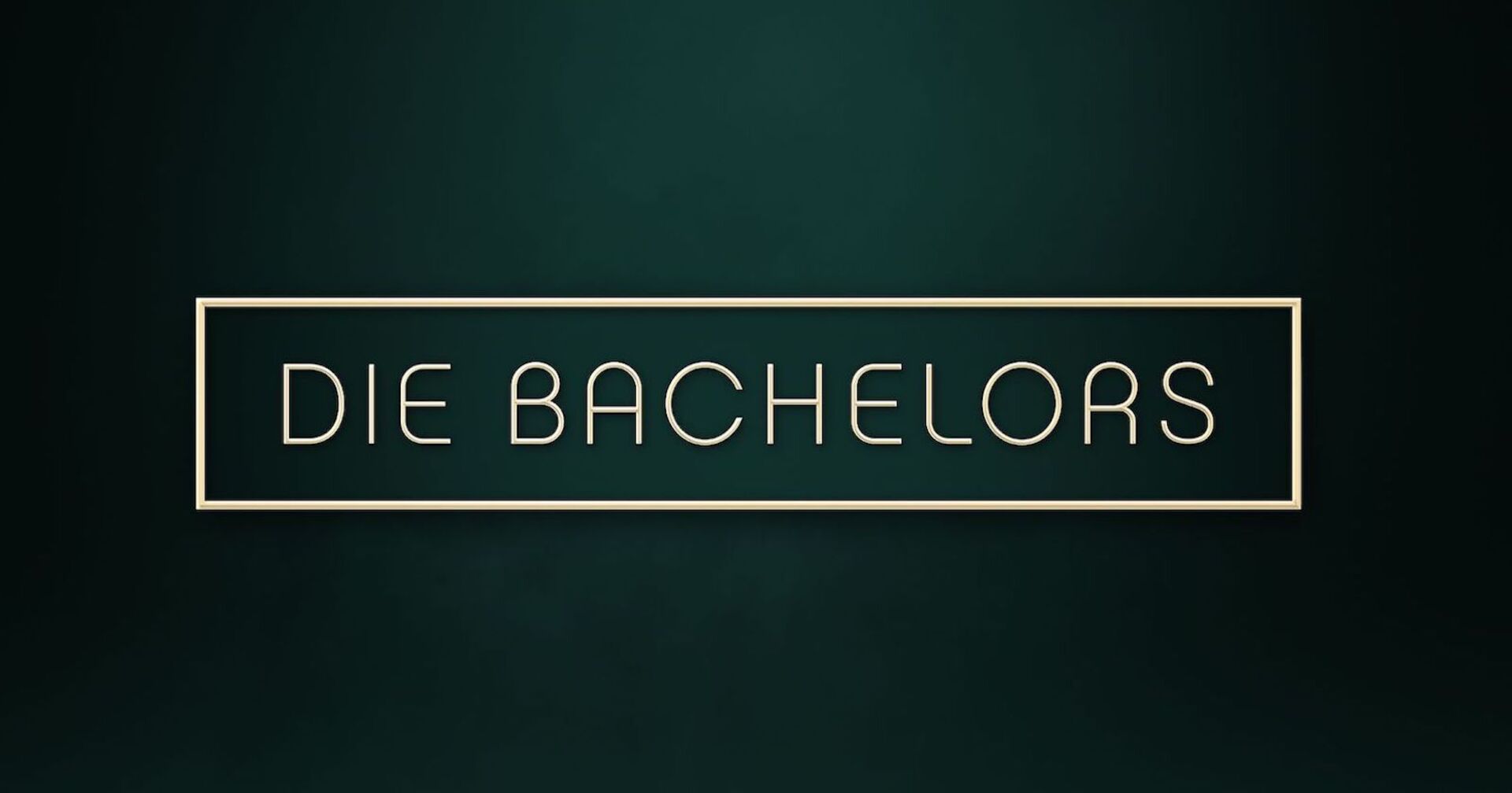 Das Logo von "Die Bachelors".