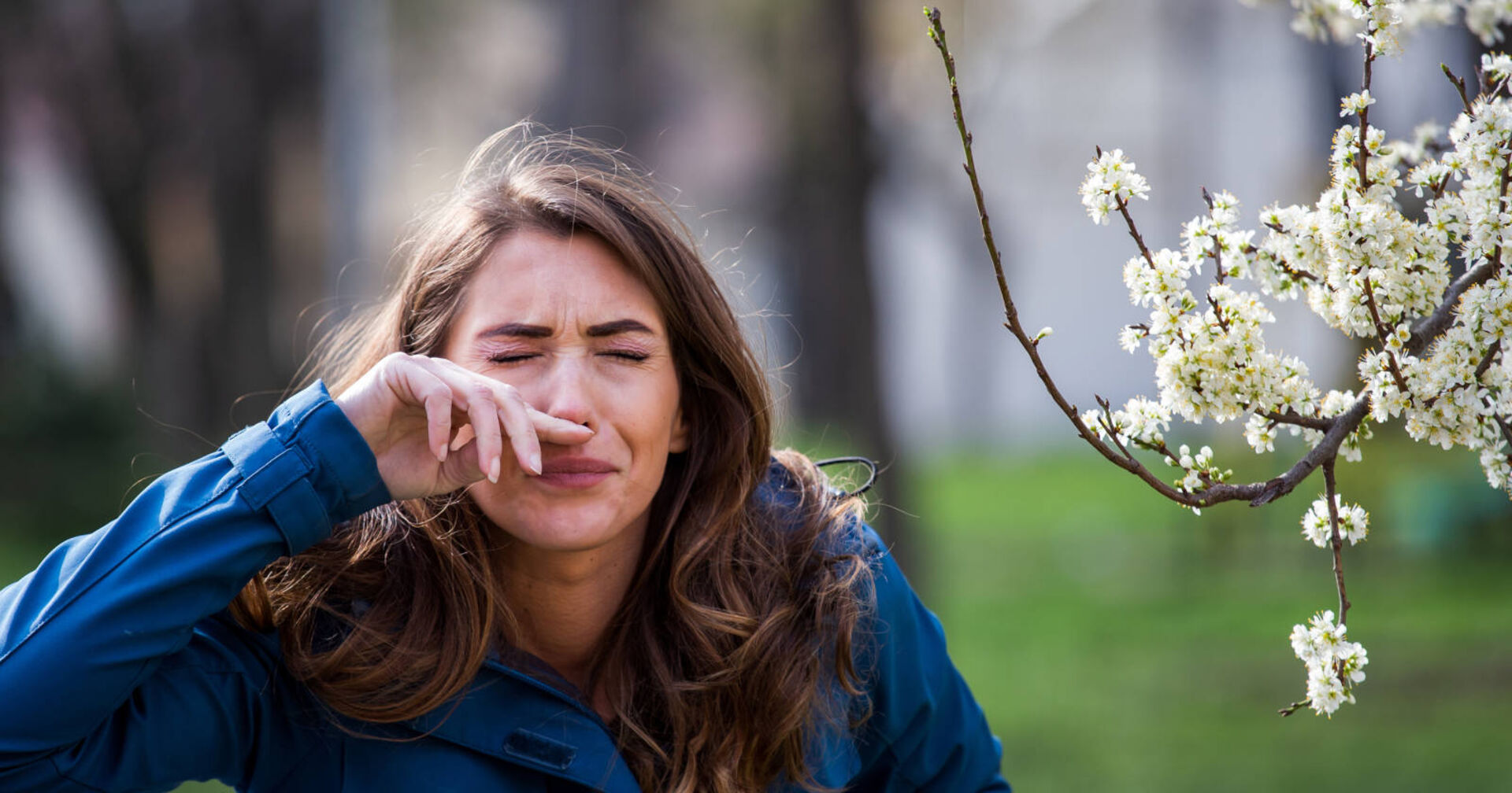 Eine Frau niest, weil sie gegen Pollen allergisch ist und vor einem blühenden Baum steht.