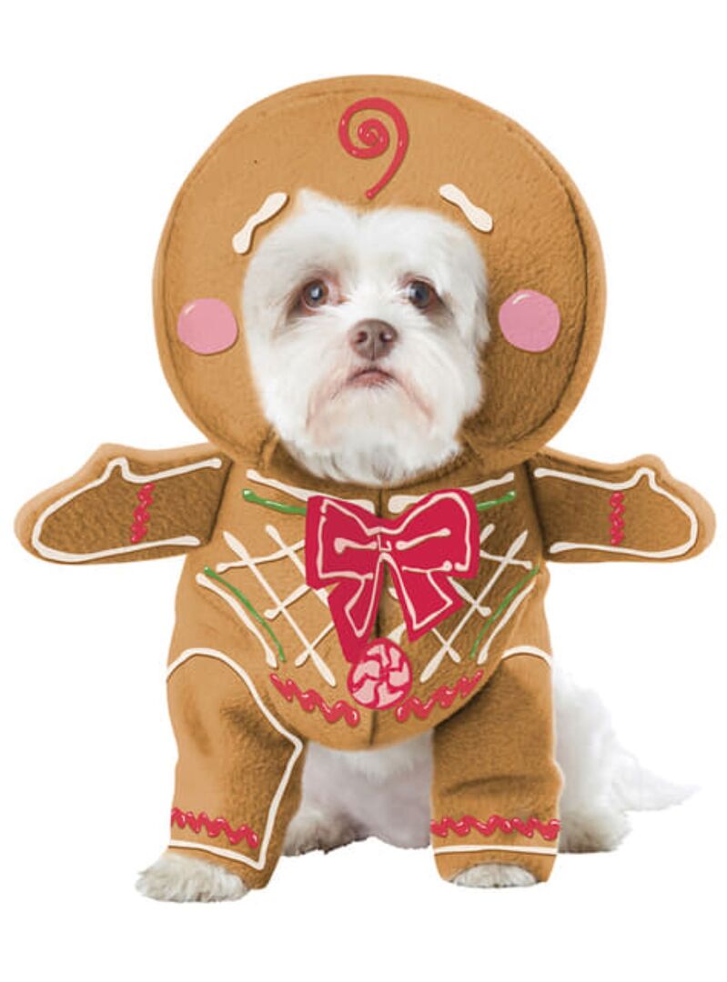 Hund im Lebkuchen-Kostüm