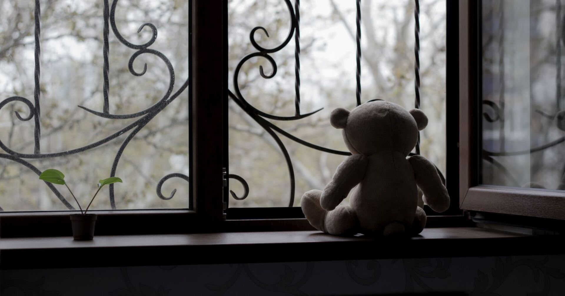Ein einsamer Teddybär vor einem vergitterten Fenster.