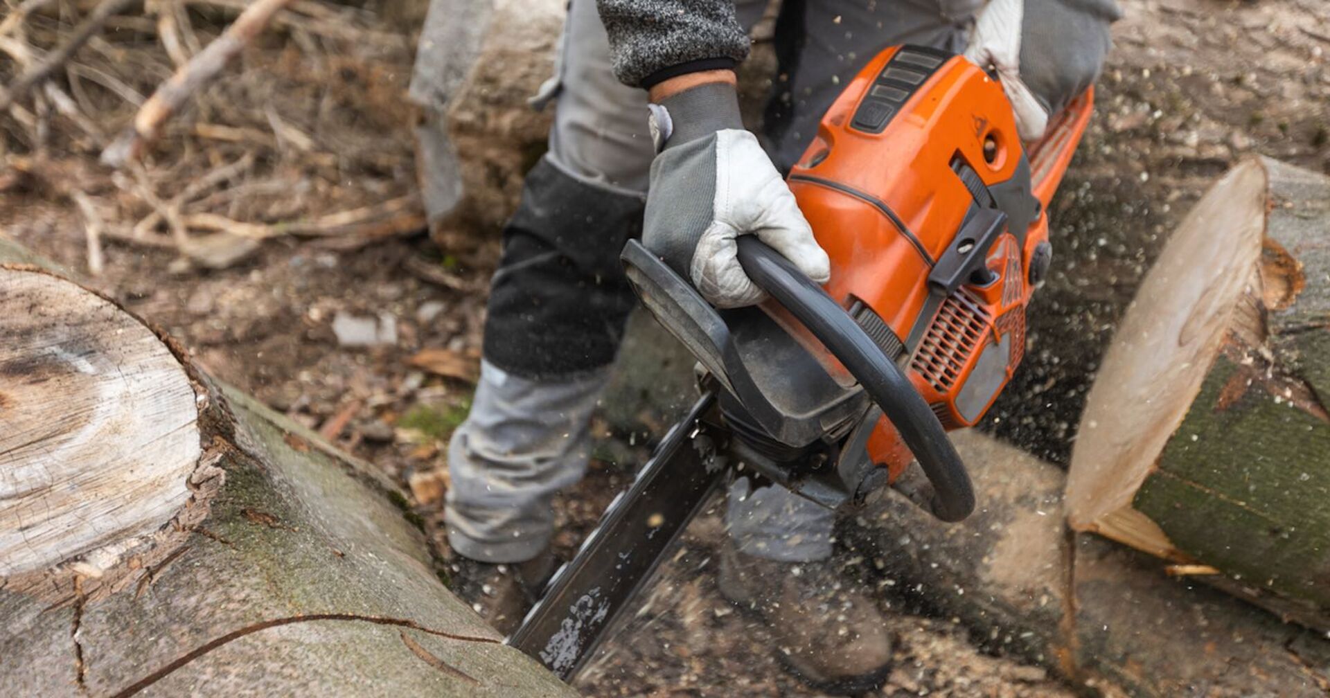 Eine Personen schneidet mit einer Kettensäge einen Baumstamm durch.