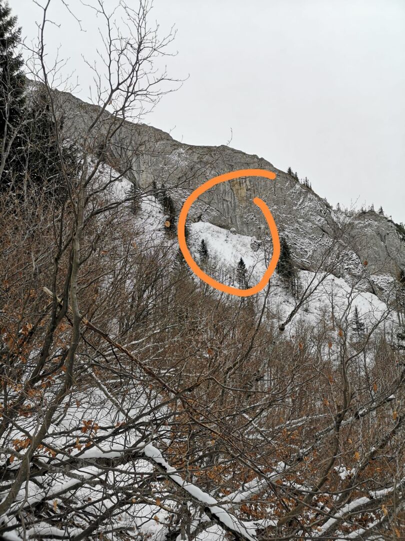 In extrem steilen Gelände mit Schnee hat sich der vermisste Hund versteckt.