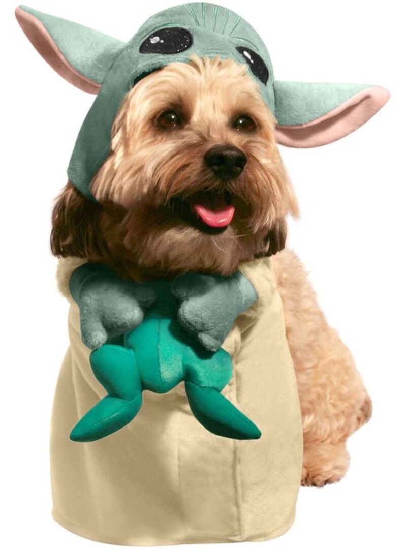 Hund im Yoda-Kostüm