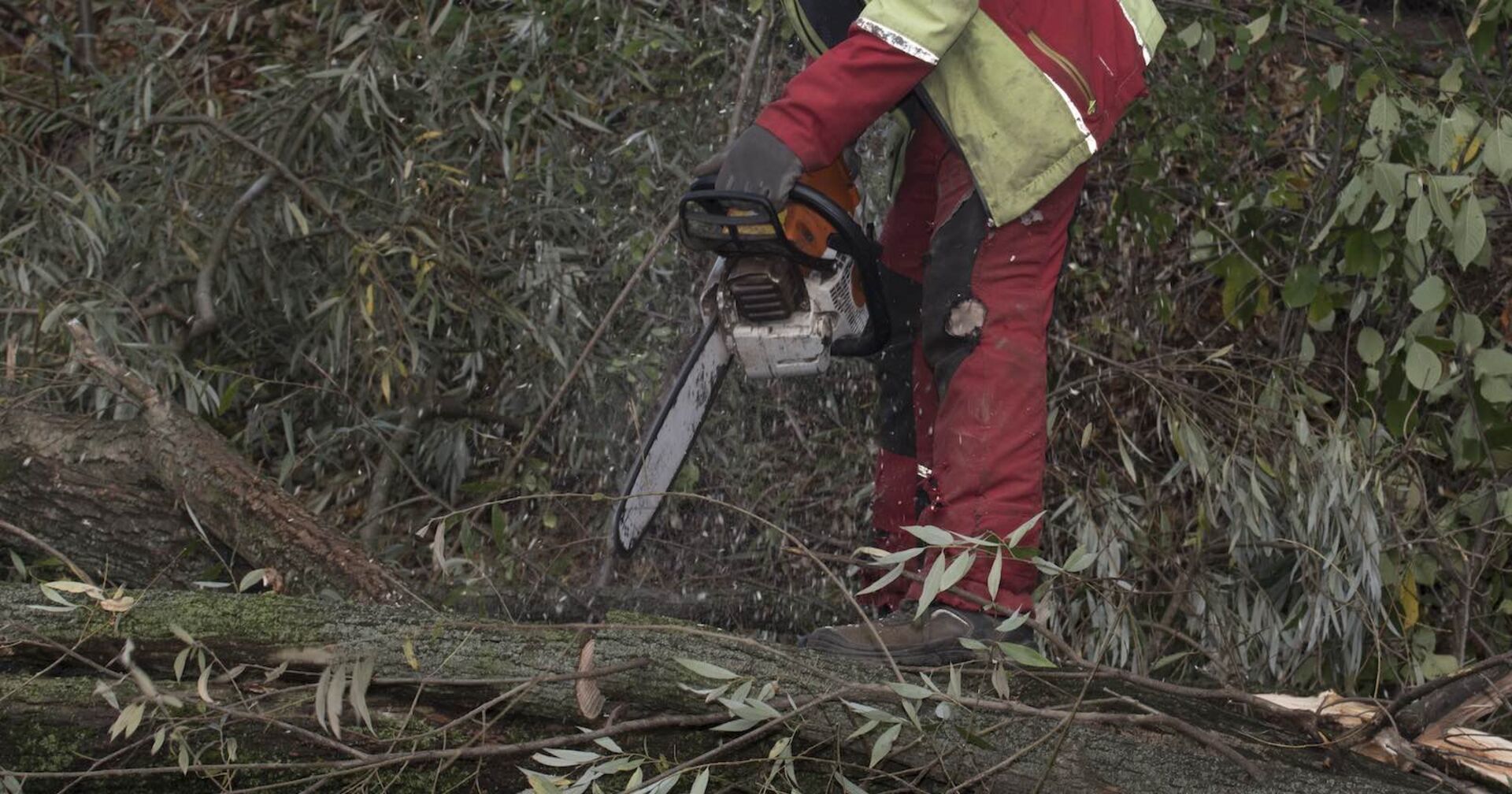 Ein Arbeiter schneidet Baumstämme mit einer Motorsäge auseinander.