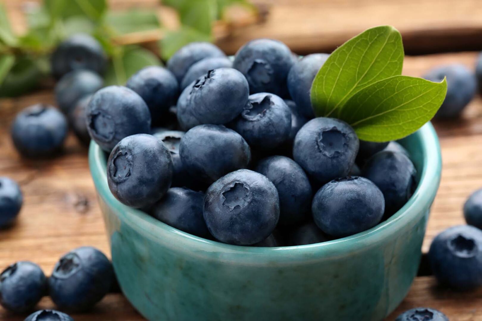 Heidelbeeren in einer Schale | Credit: iStock.com/Liudmila Chernetska