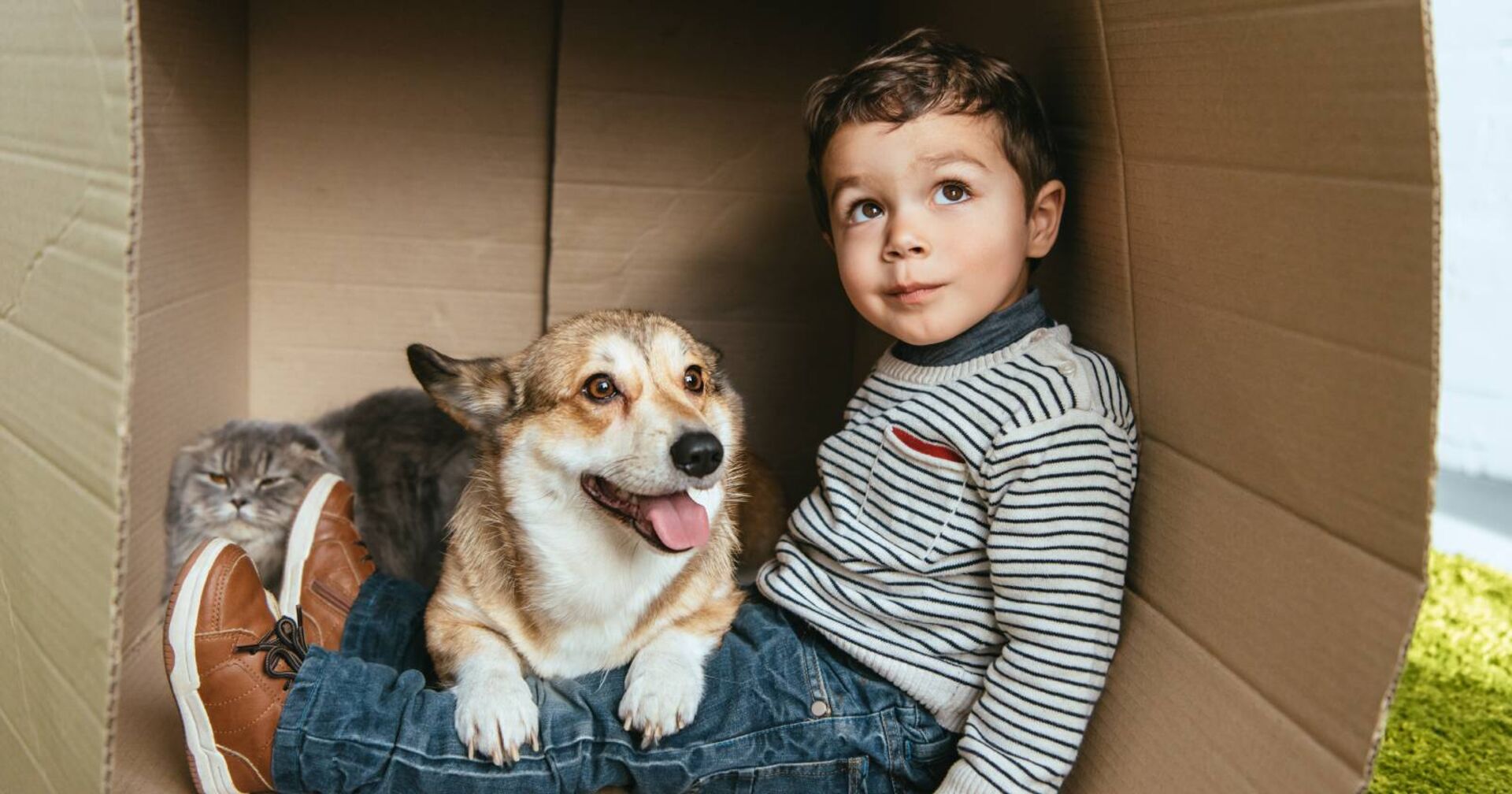 Kleiner Junge sitzt in einem großen Karton zusammen mit einem Corgi-Hund auf dem Schoß