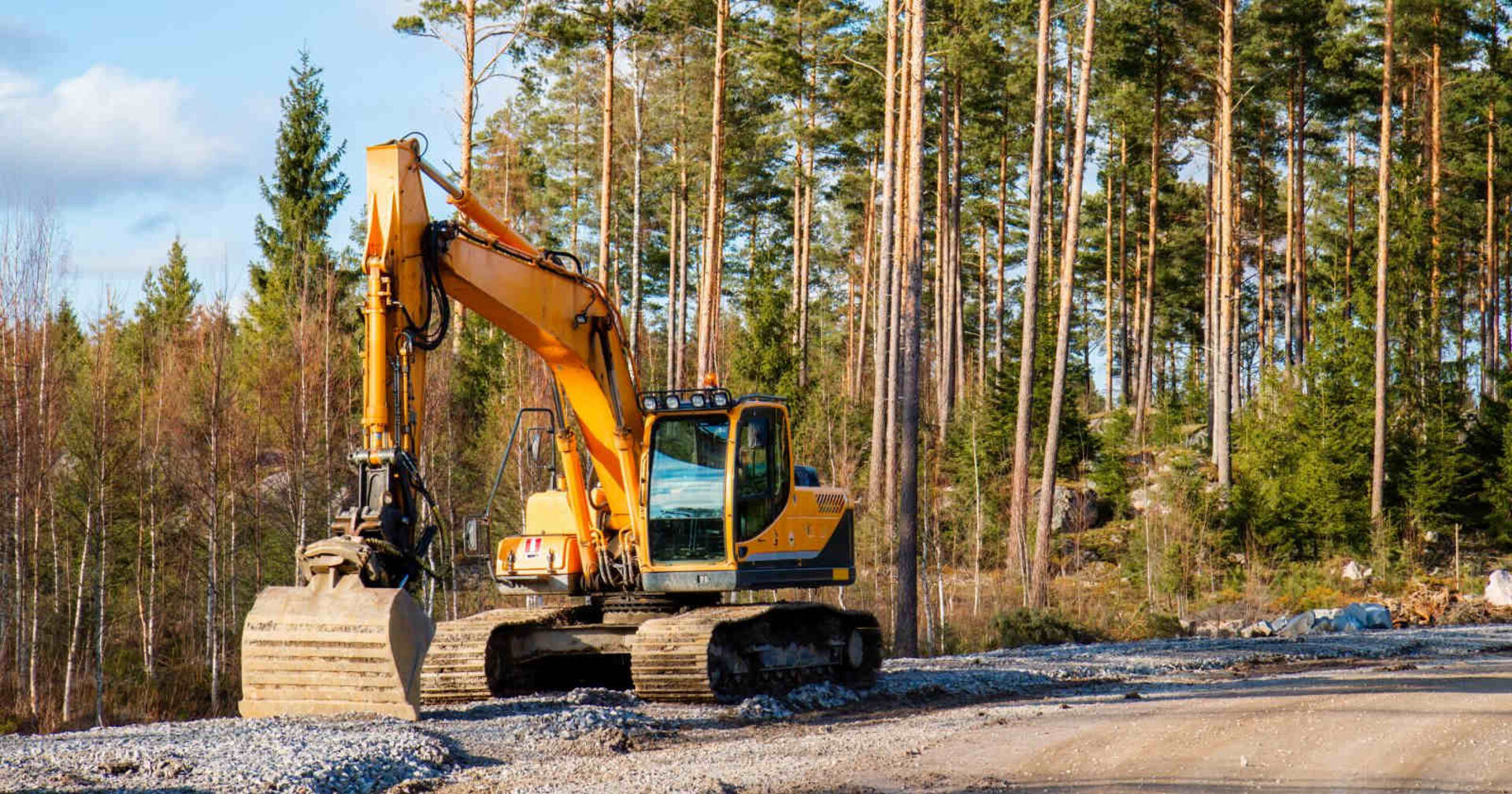 Ein Raupenbagger in einem Waldstück.