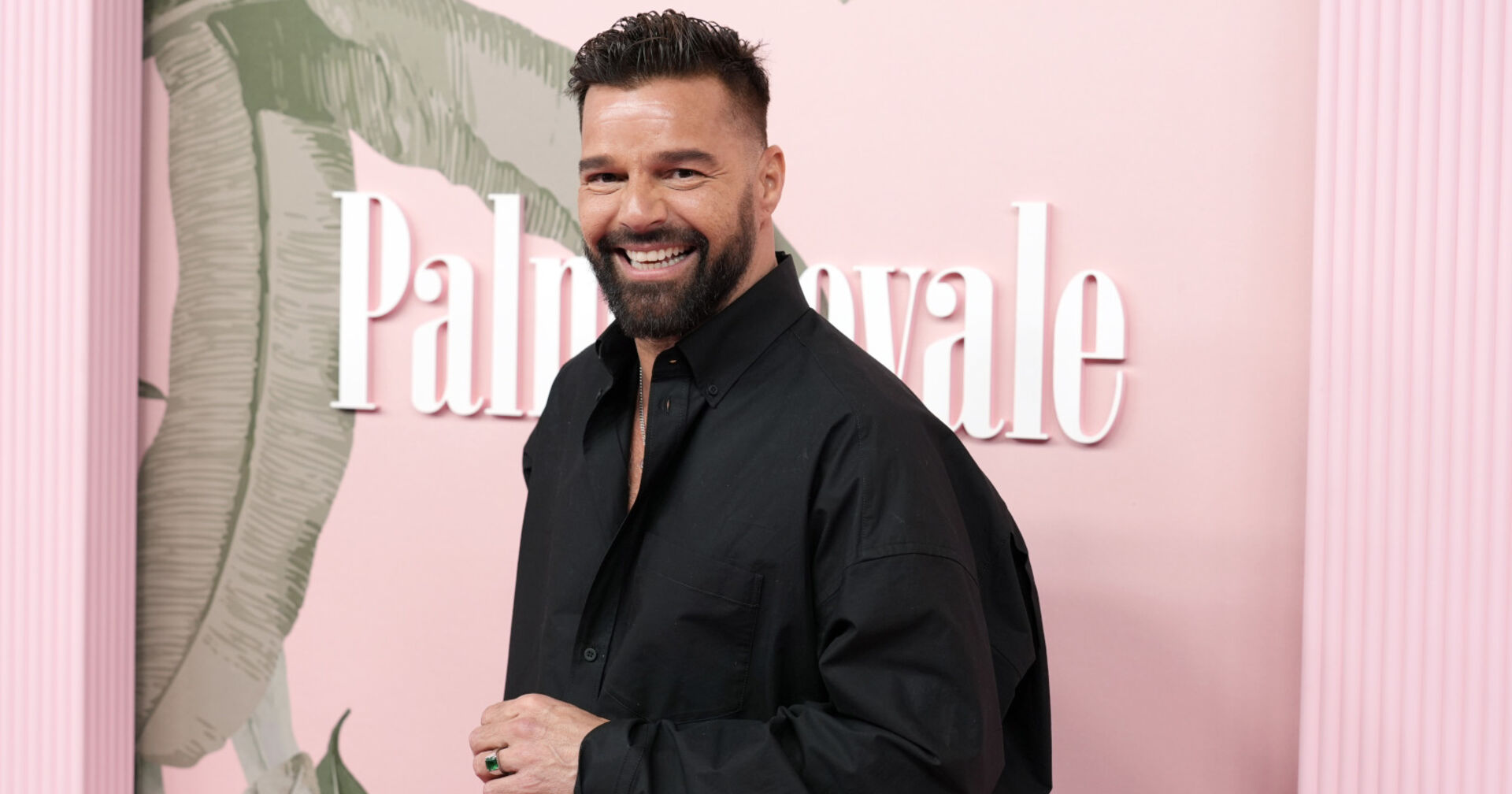 Sänger Ricky Martin