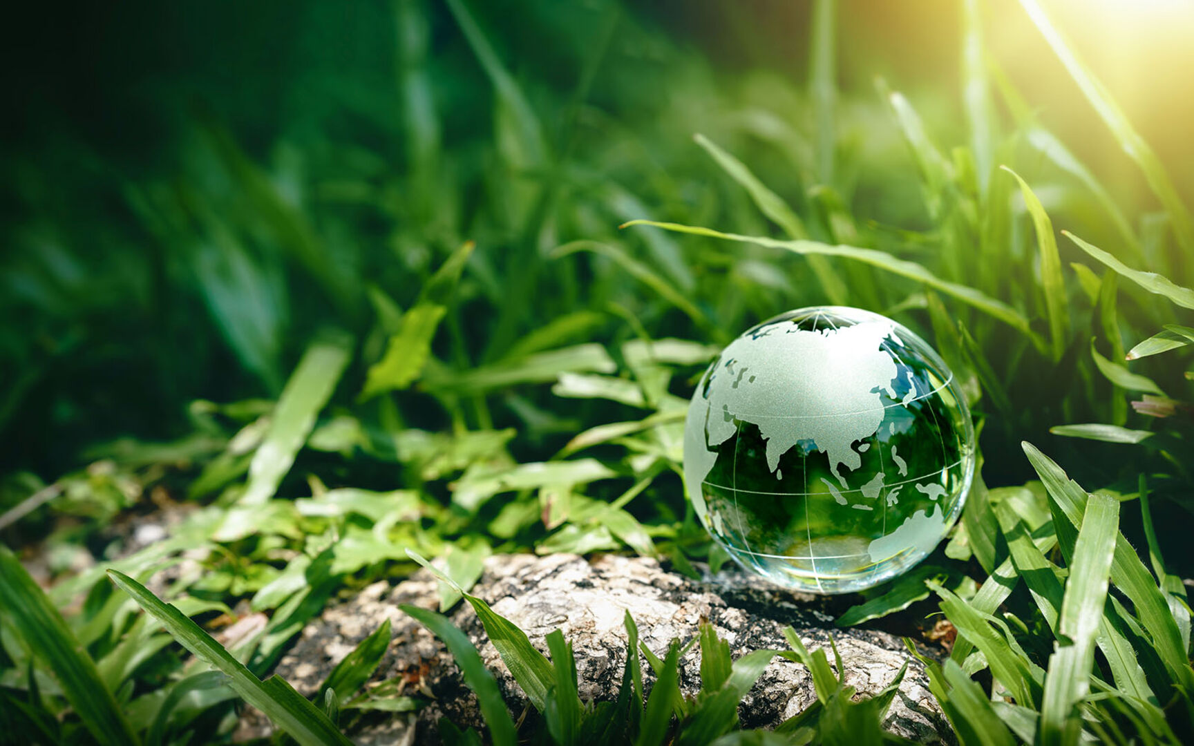 Erdkugel im Gras | Credit: iStock.com/Khanchit Khirisutchalual