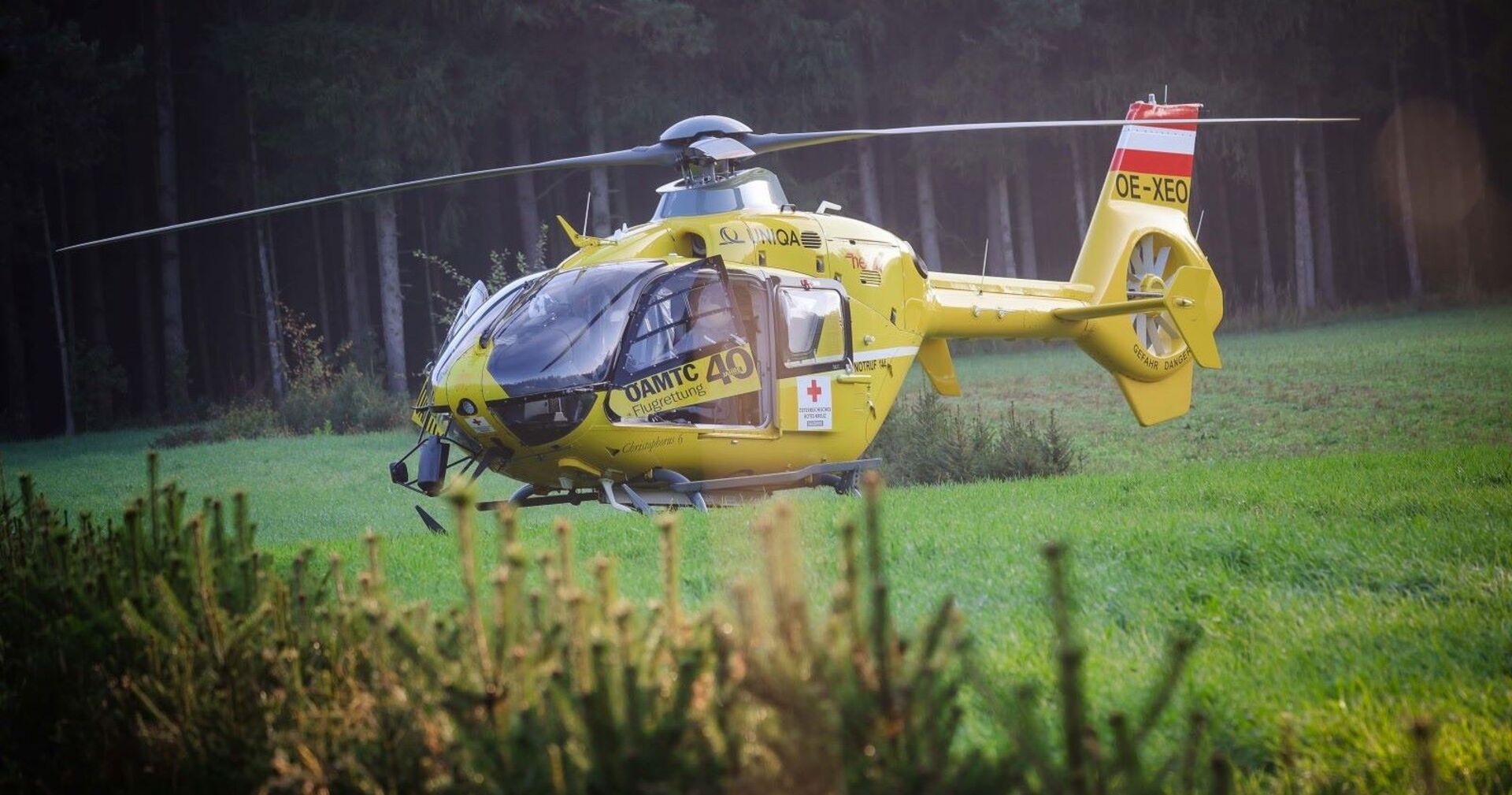 Der gelbe ÖAMTC-Hubschrauber steht auf einer Wiese.
