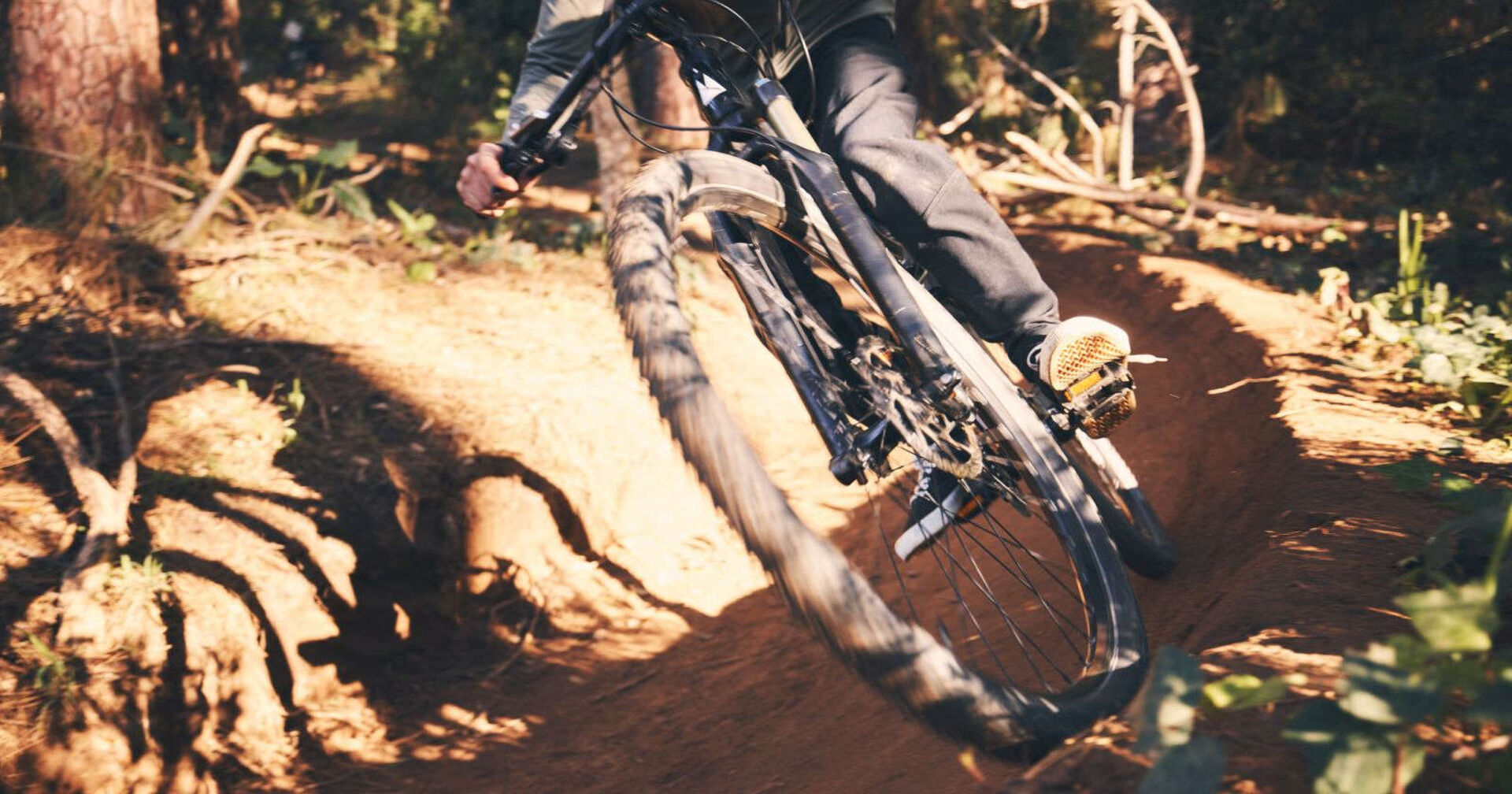 Ein Downhill-Biker fährt über eine Trail im Wald hinunter.