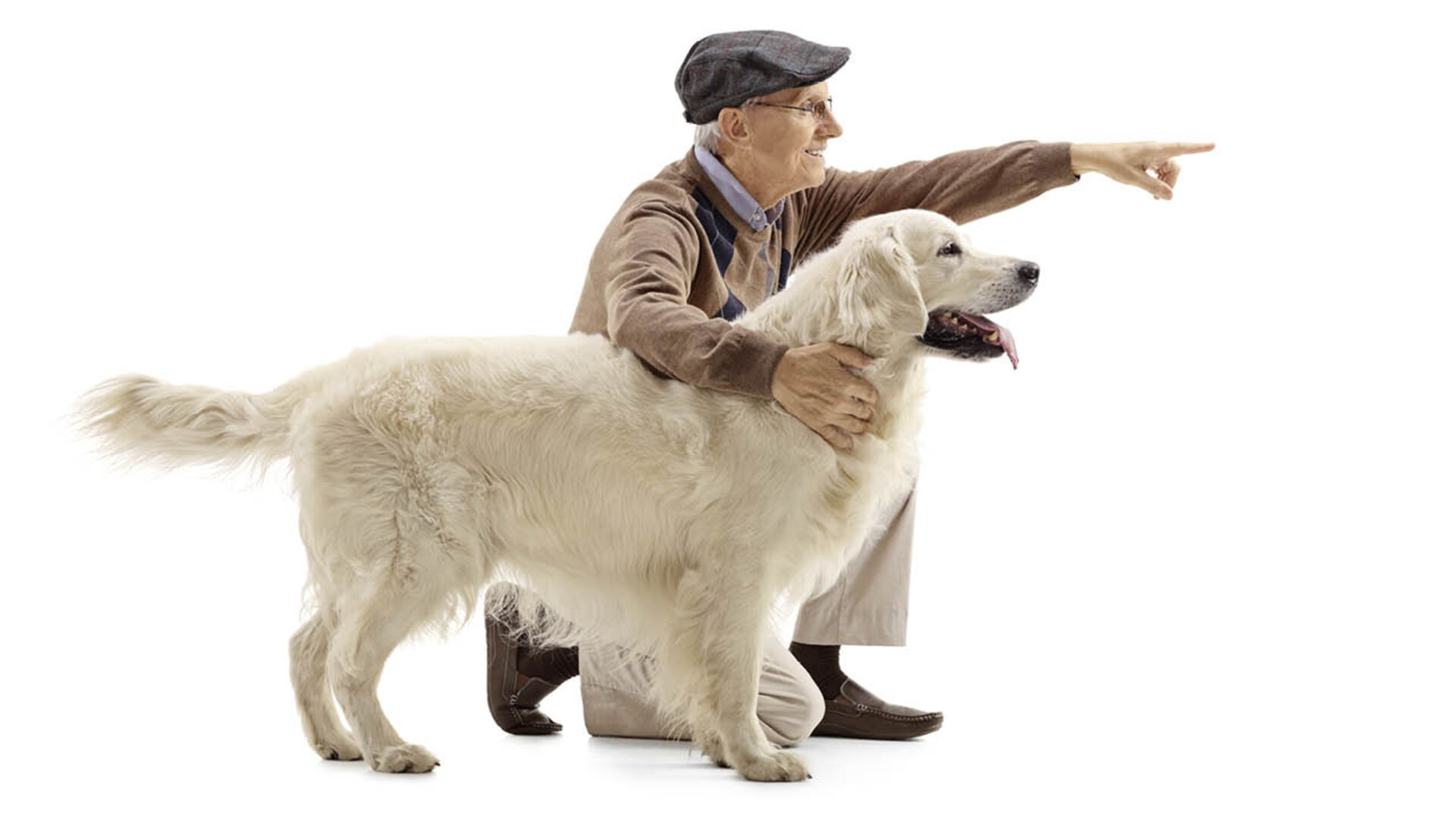 Der beste Freund des Menschen