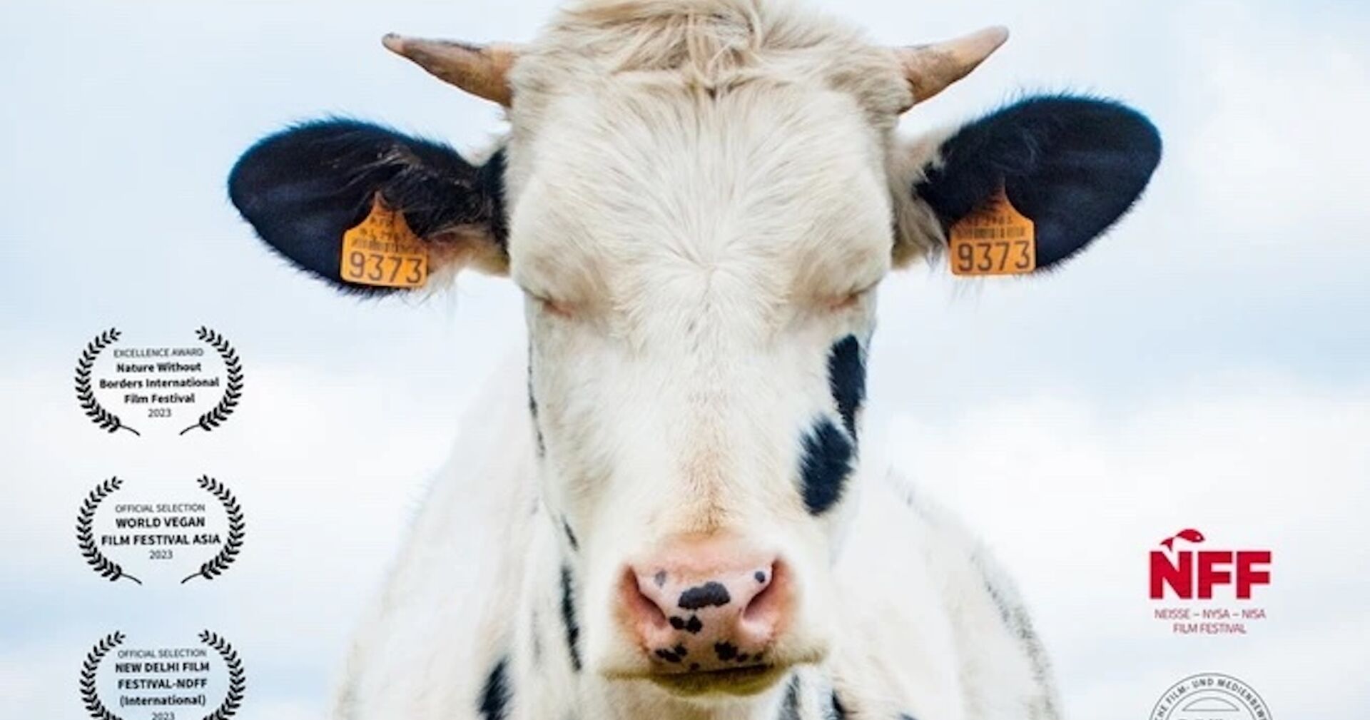 Eine Kuh auf dem Filmplakat "Die Q ist ein Tier"