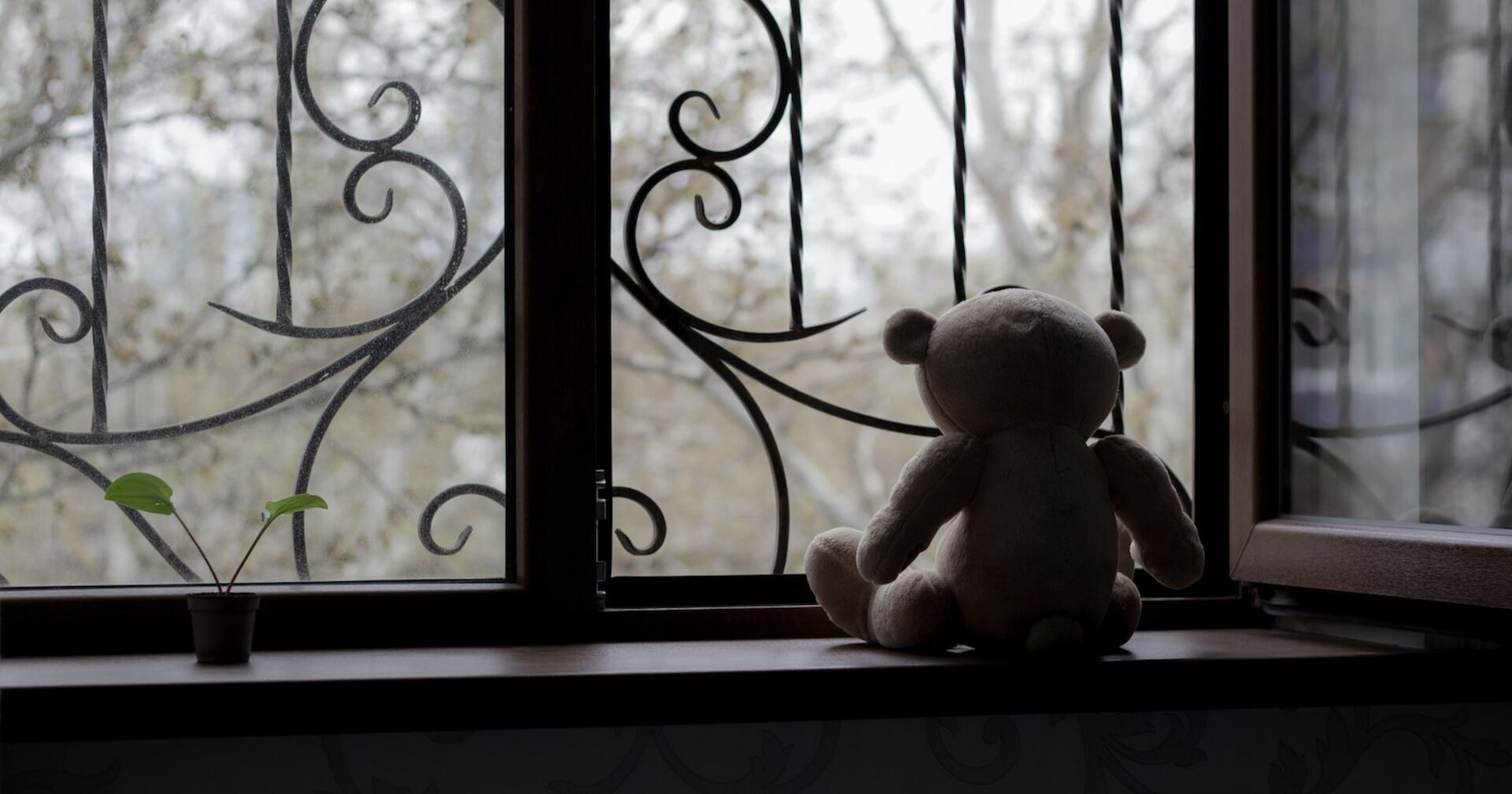 Ein einsamer Teddybär sitzt an einem vergitterten Fenster