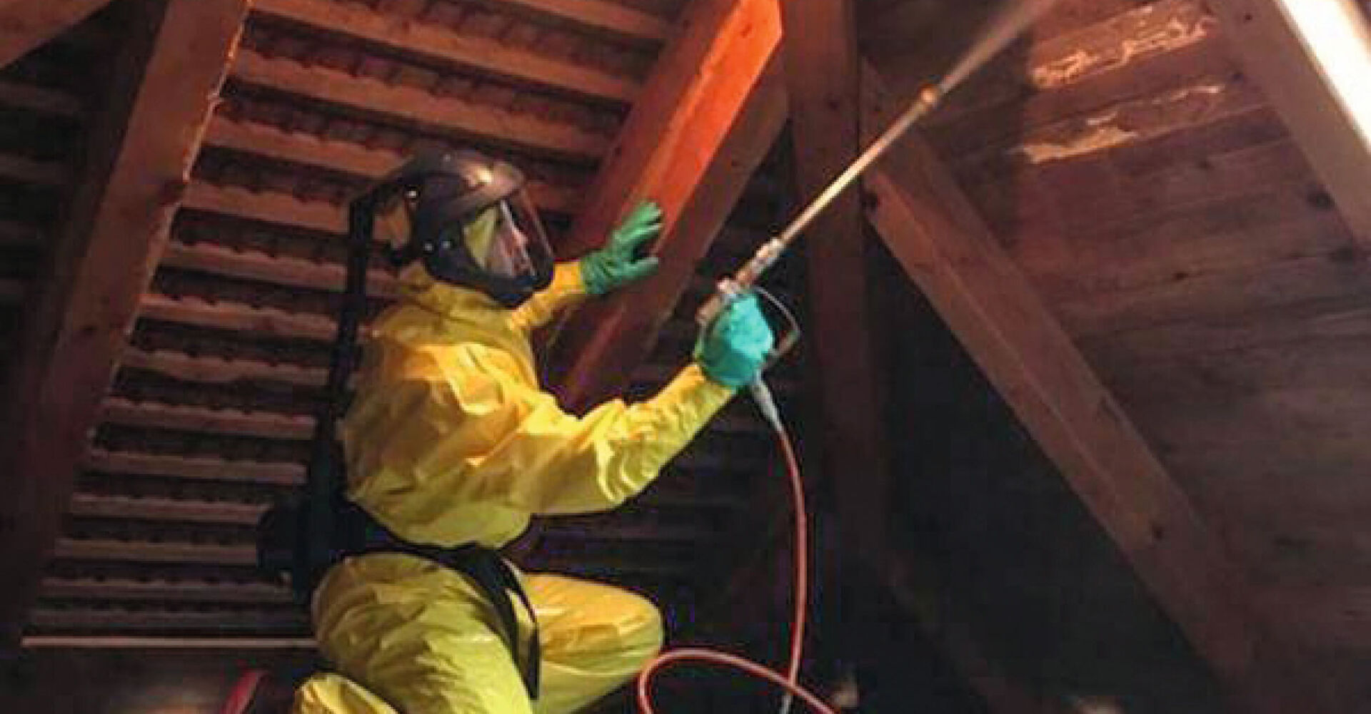 Schädlingsbekämpfung