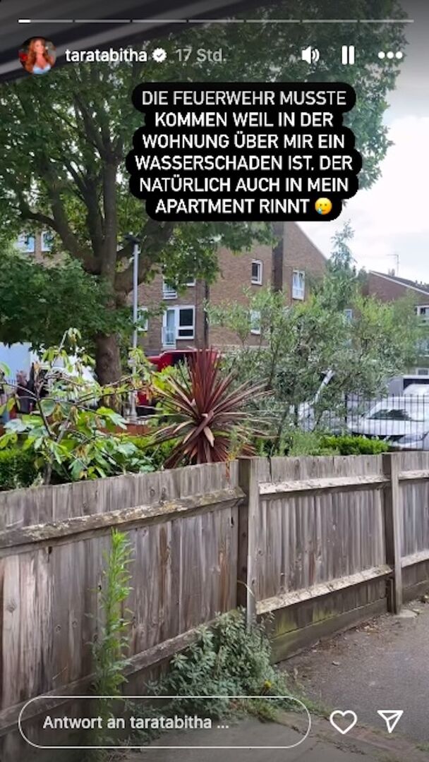 Ein Screenshot von Tara Tabitha und der Feuerwehr.