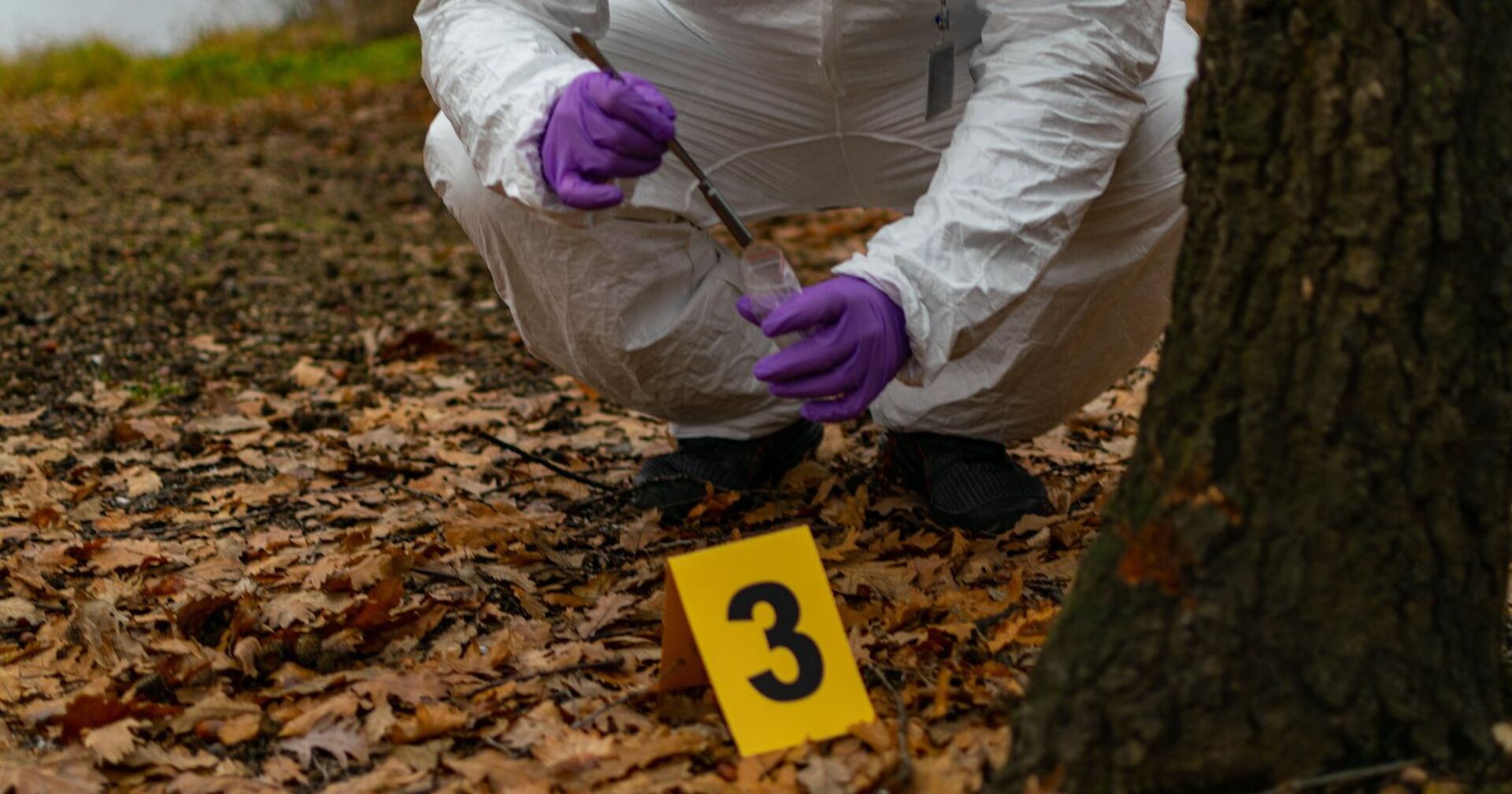 Ein Ermittler an einem Tatort in einem Wald.