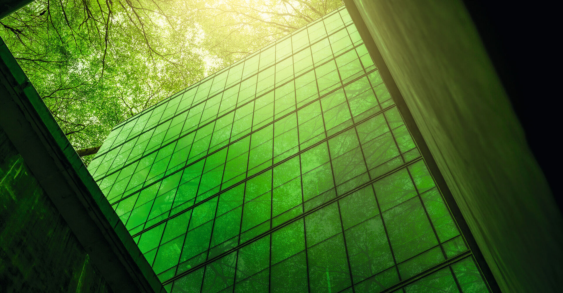 Die Dekarbonisierung treibt den Geschäftserfolg großer Bauunternehmen an.