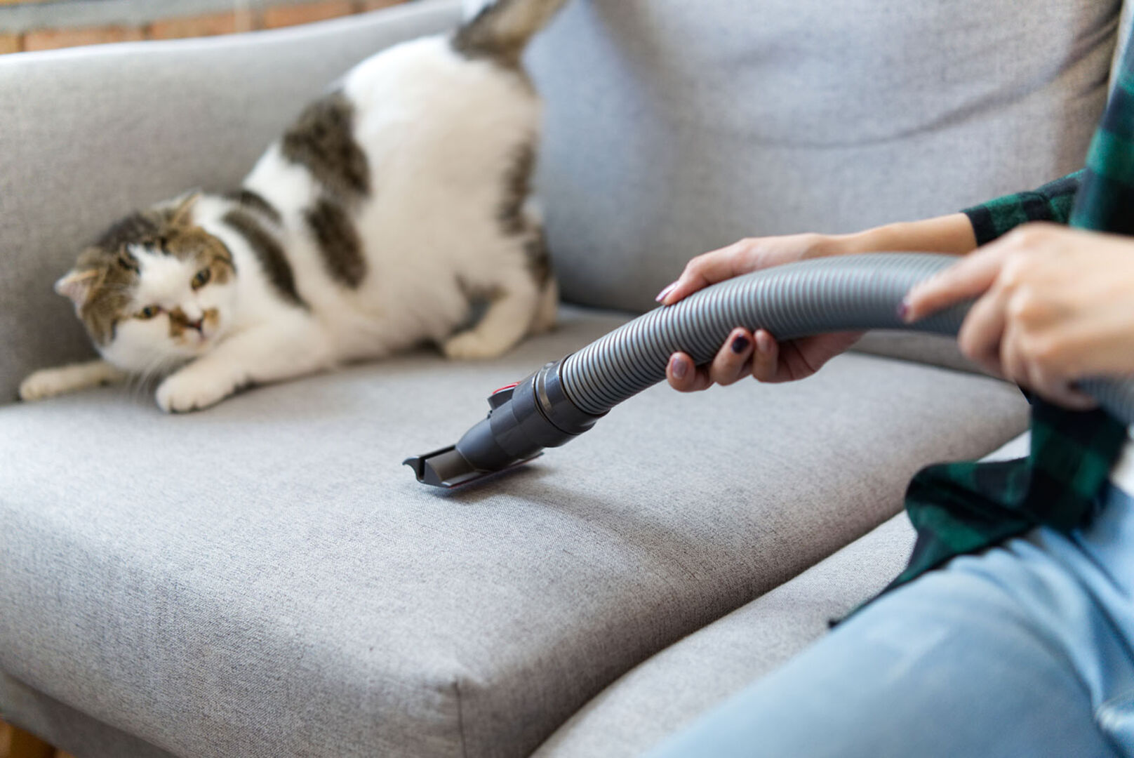 | Credit: iStock.com/Kiwis