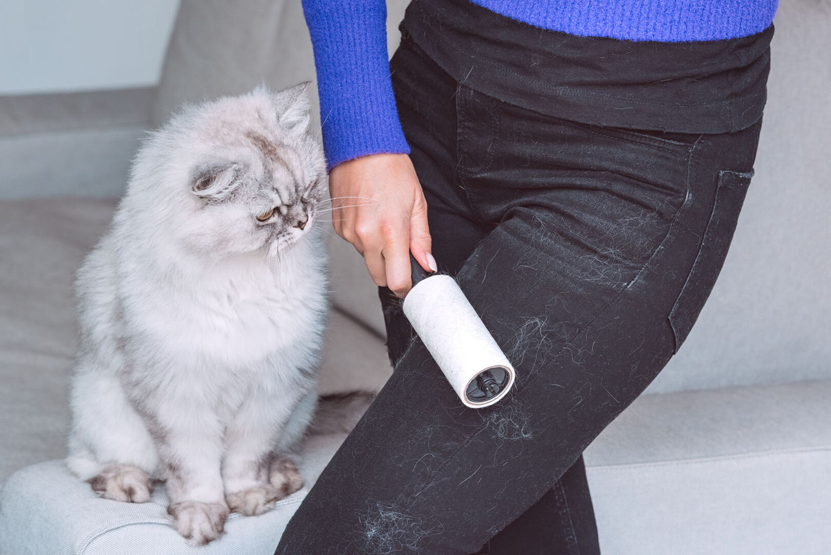 Katzenhaare auf schwarzer Jeans | Credit: iStock.com/Daria Kulkova
