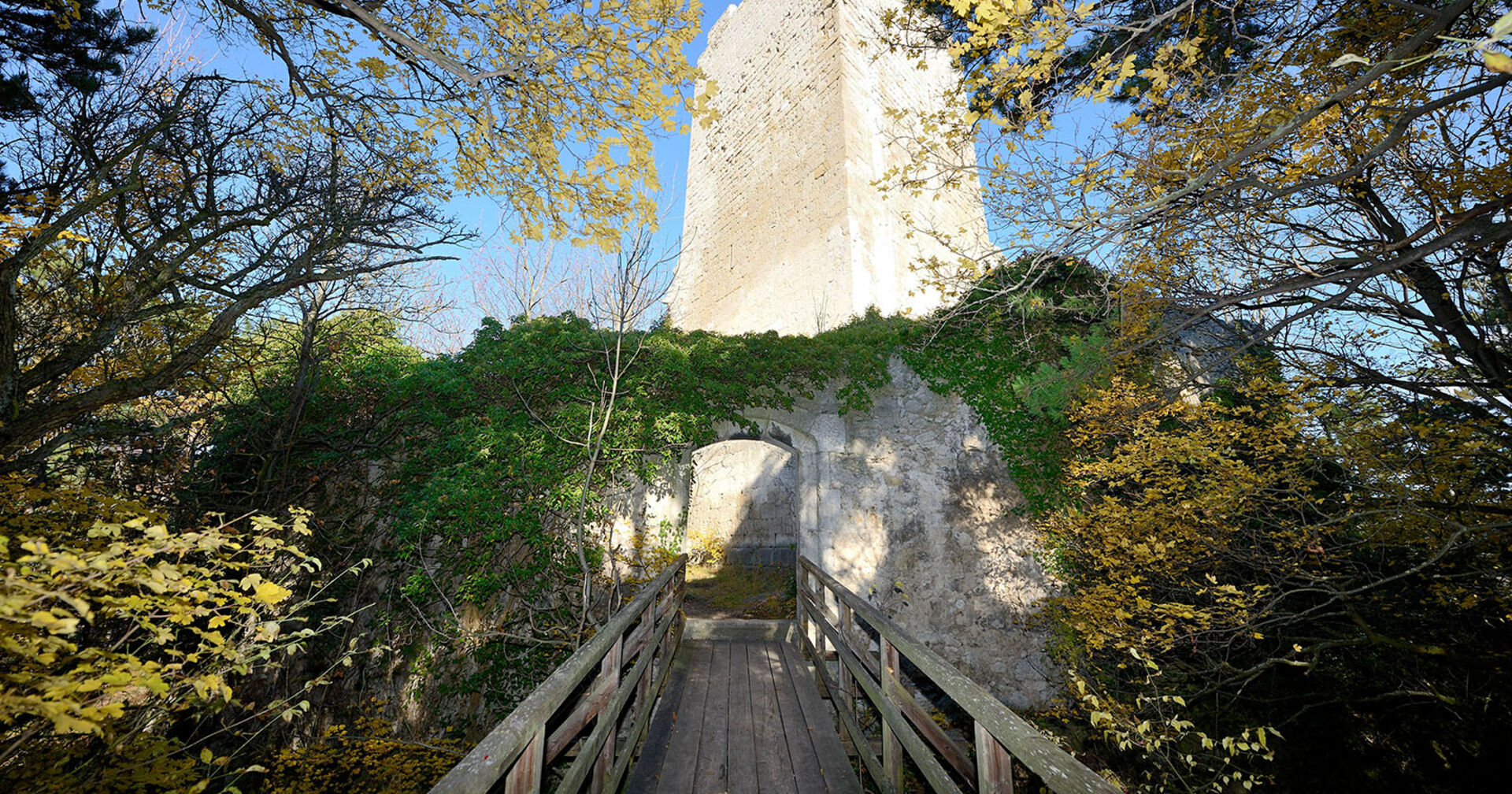 Ruine Rauheneck | Credit: Christian Handl / imageBROKER / picturedesk.com
