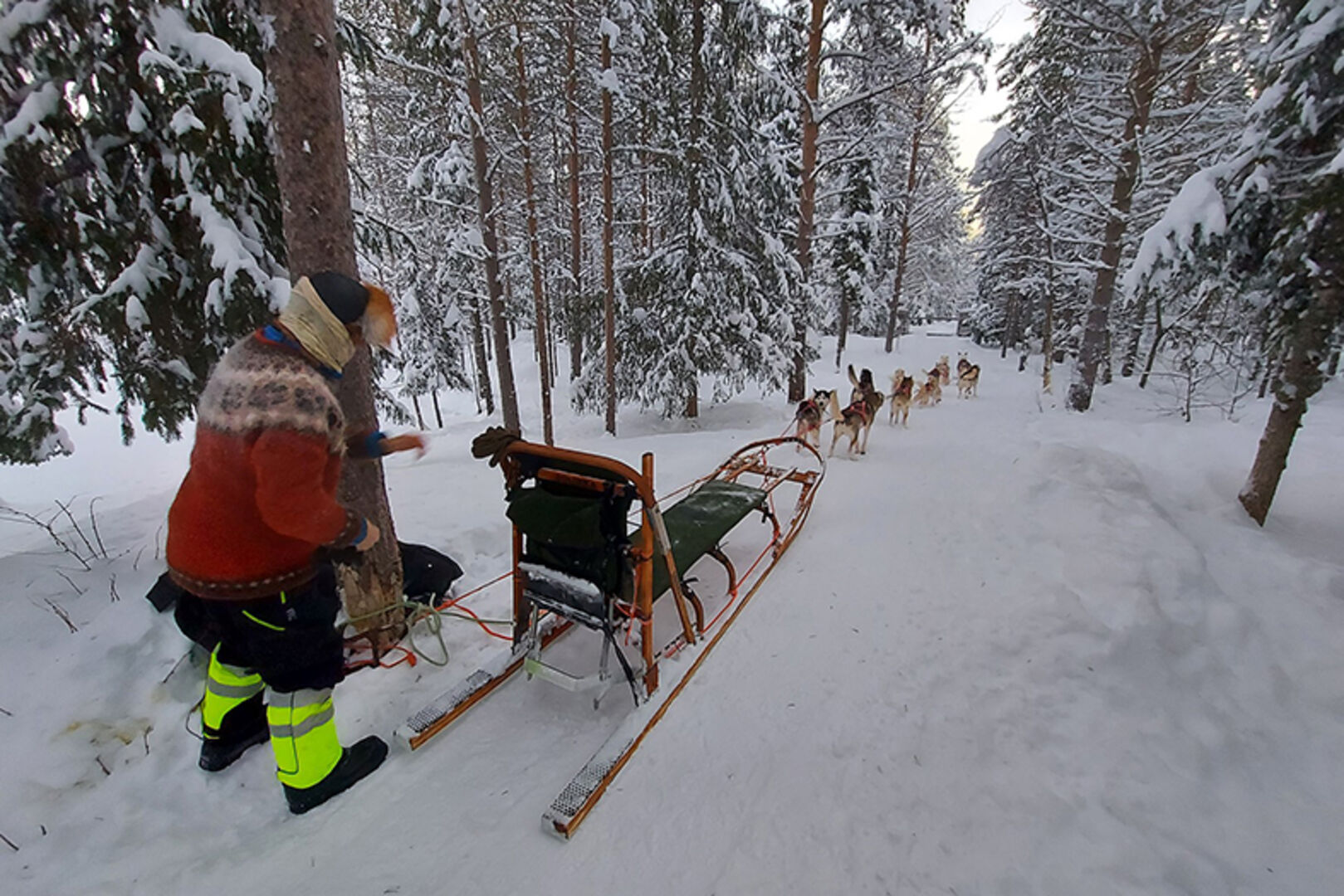 Ein einzigartiges Erlebnis ist das Gleiten durch die friedliche Winterlandschaft, begleitet von freudigem Hundegebell.
