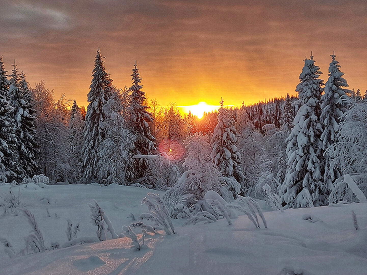 Ein sagenhaftes Naturerlebnis ist es, wenn der Schnee unter den Schuhen knirscht und die Eiskristalle brechen und man die Natur hören, riechen und fühlen kann.