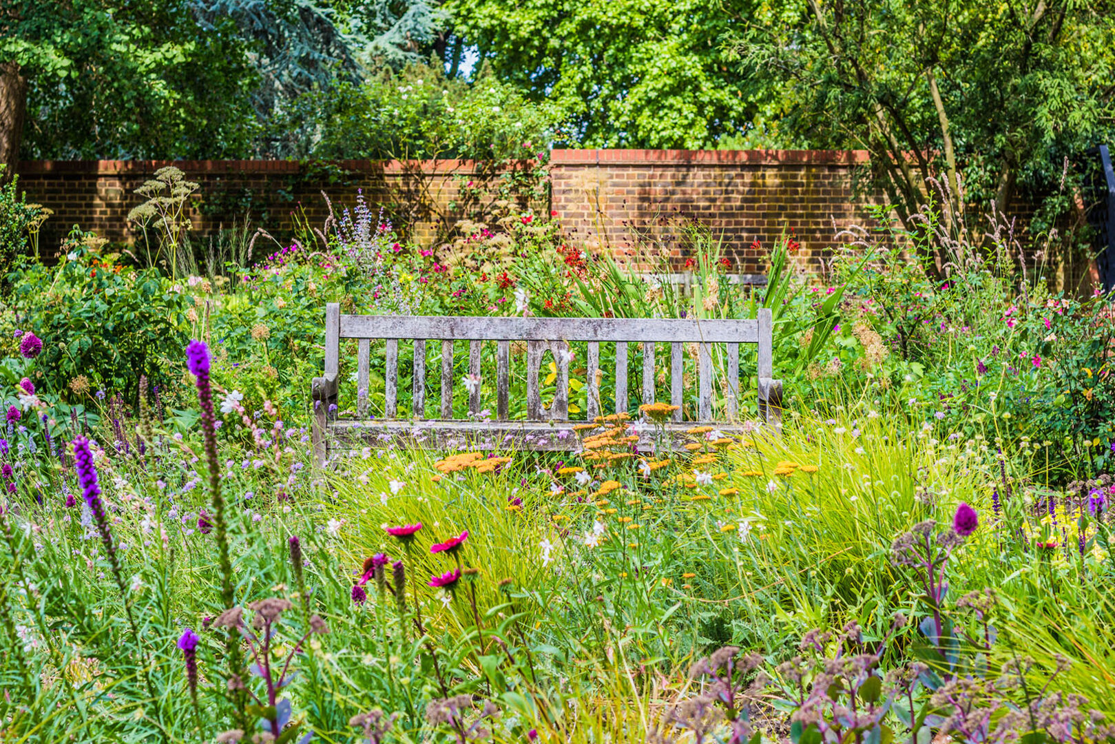 Bank steht mitten in Wildblumen | Credit: iStock.com/Lorenza Marzocchi