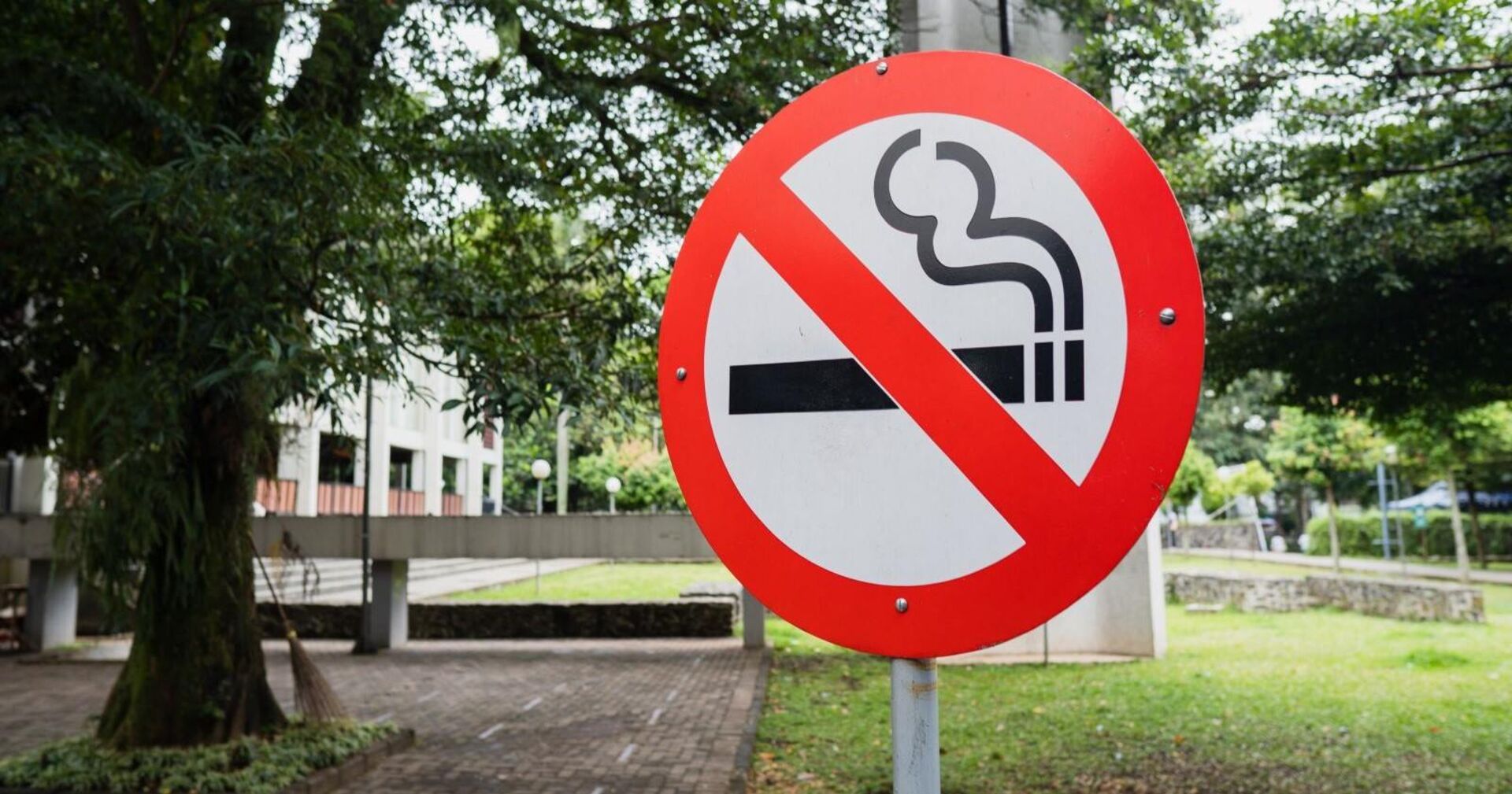 Ein "Rauchen verboten"-Schild vor eine Grünfläche.