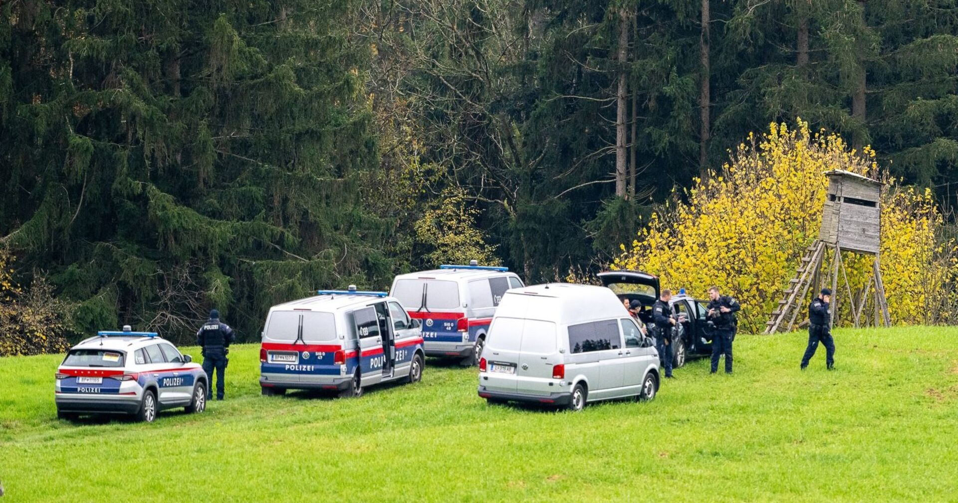 Waldstück in Oberösterreich