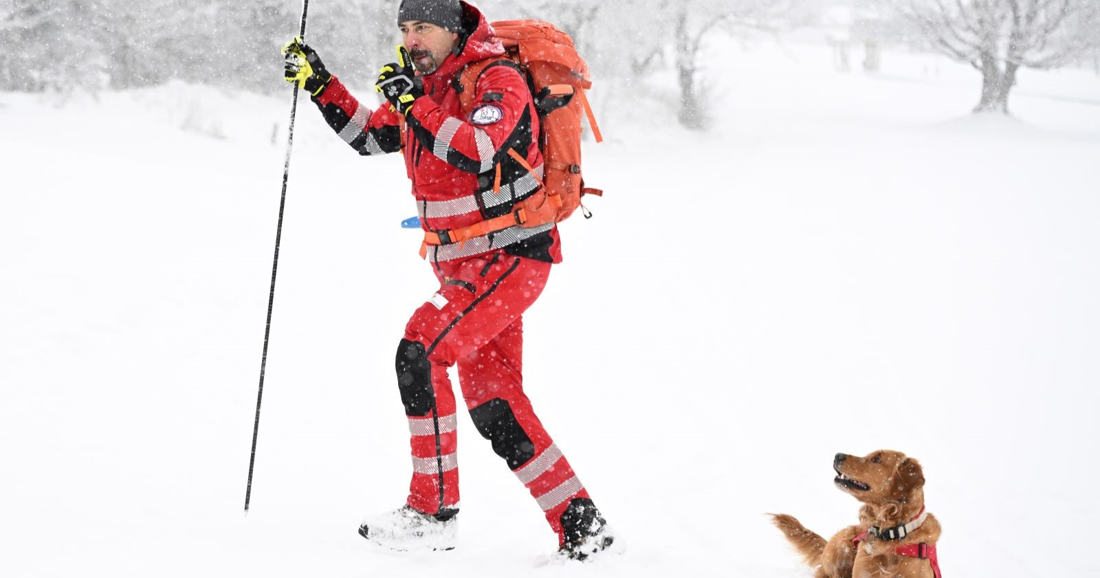 Eine Rettungskraft mit einem Suchhund im Schnee.