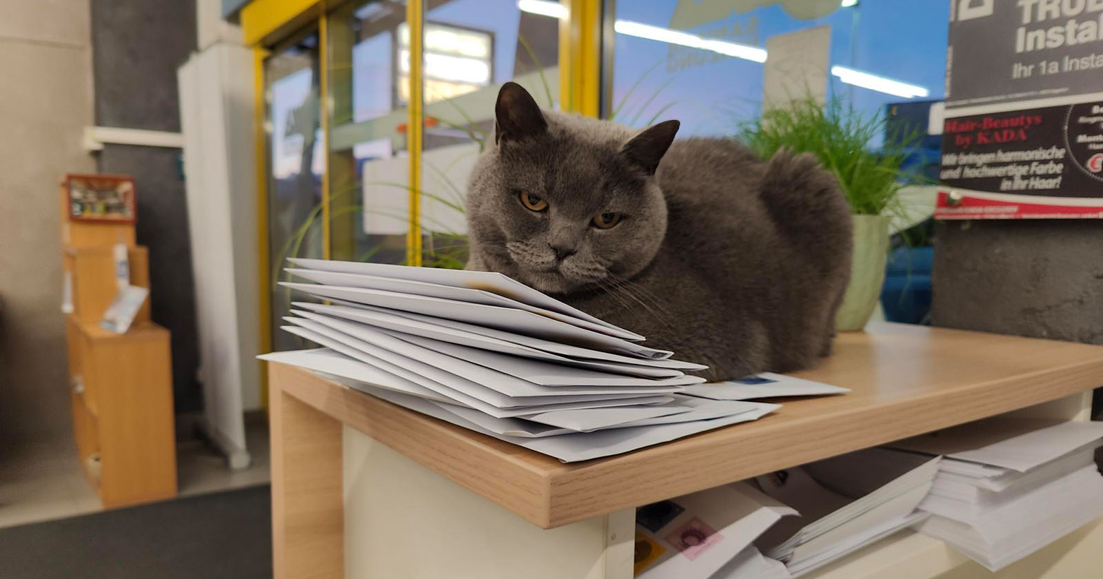 Corona liegt auf der Post | Credit: Lilli Platzer