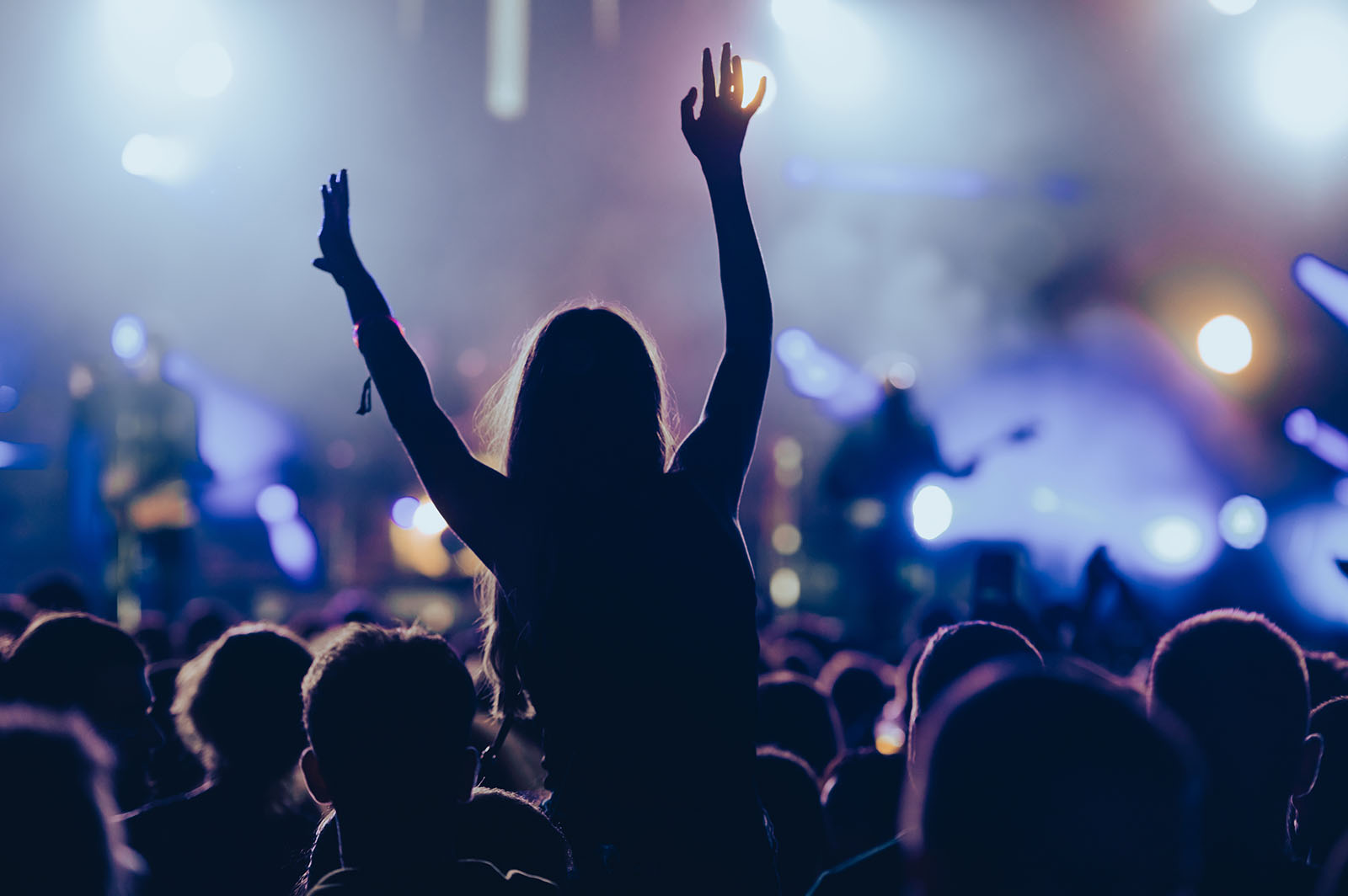 Festivalbesucher in der Menge | Credit: iStock.com/zamrznutitonovi