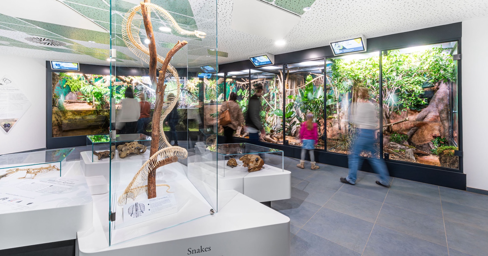 Der neue Reptilien- und Amphibienzoo im Haus der Natur.