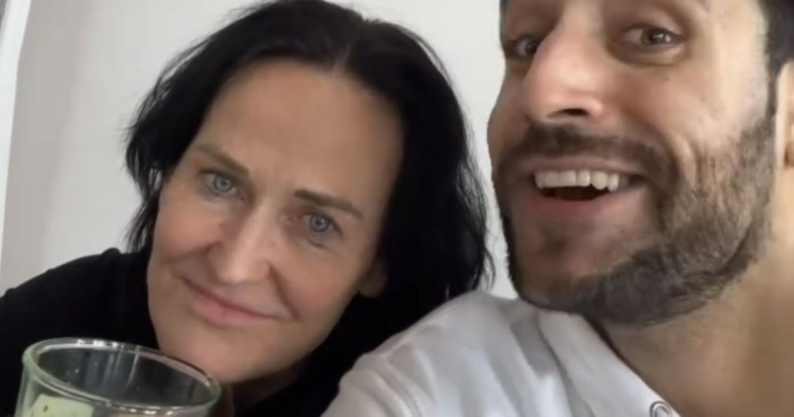 Glawischnig und Stefanin