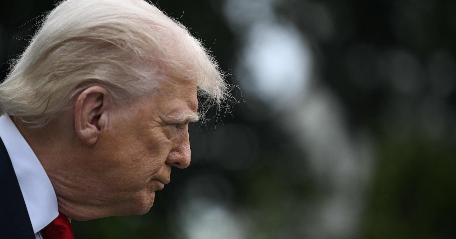 Seitlich aufgenommenes Porträt von Donald Trump mit ernstem Gesichtsausdruck, dunkler Hintergrund unscharf