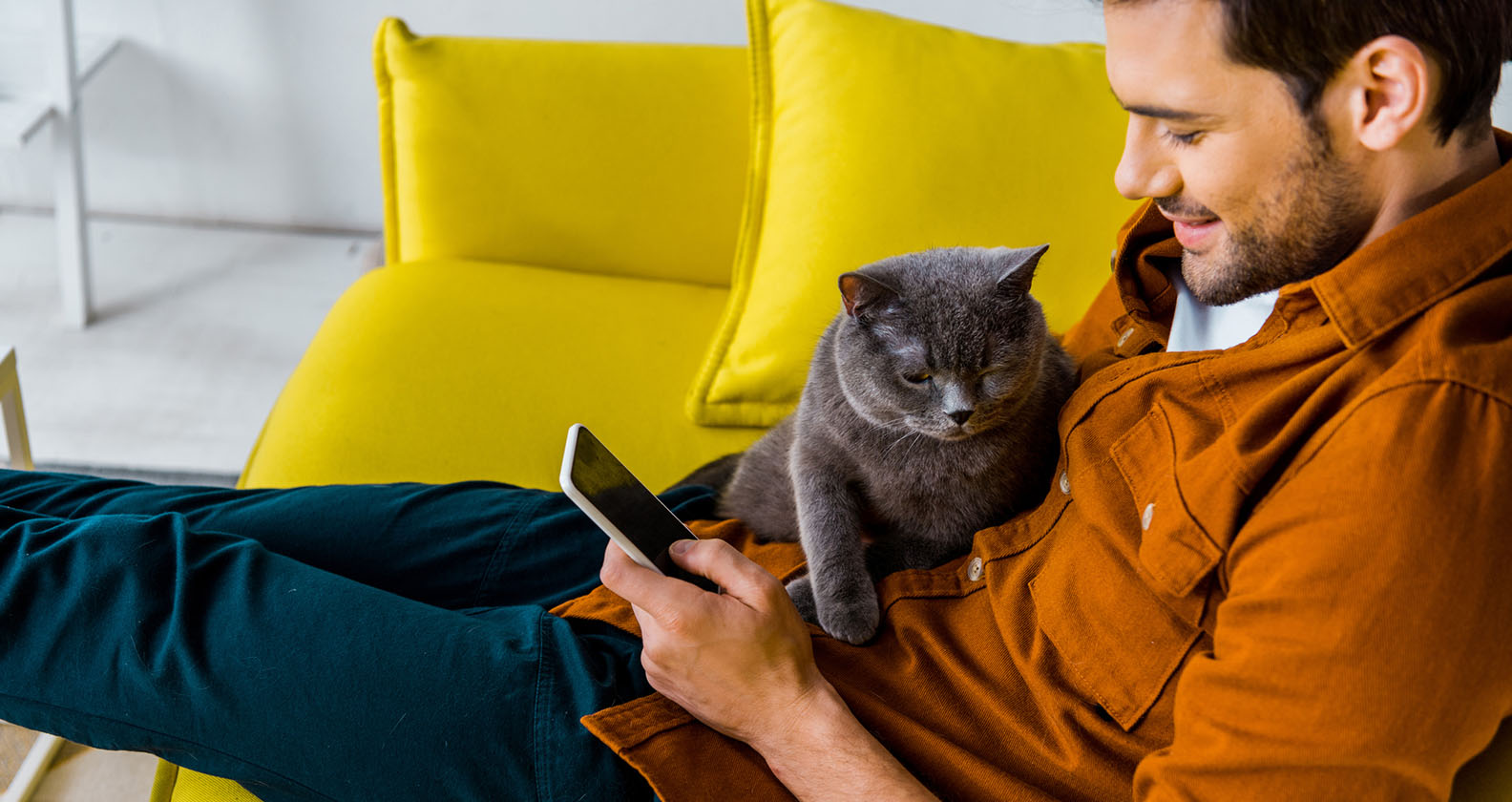 Katze sitzt auf einem Mann | Credit: iStock.com/LightFieldStudios