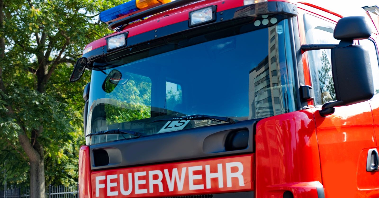 Rettungswagen vor Baum