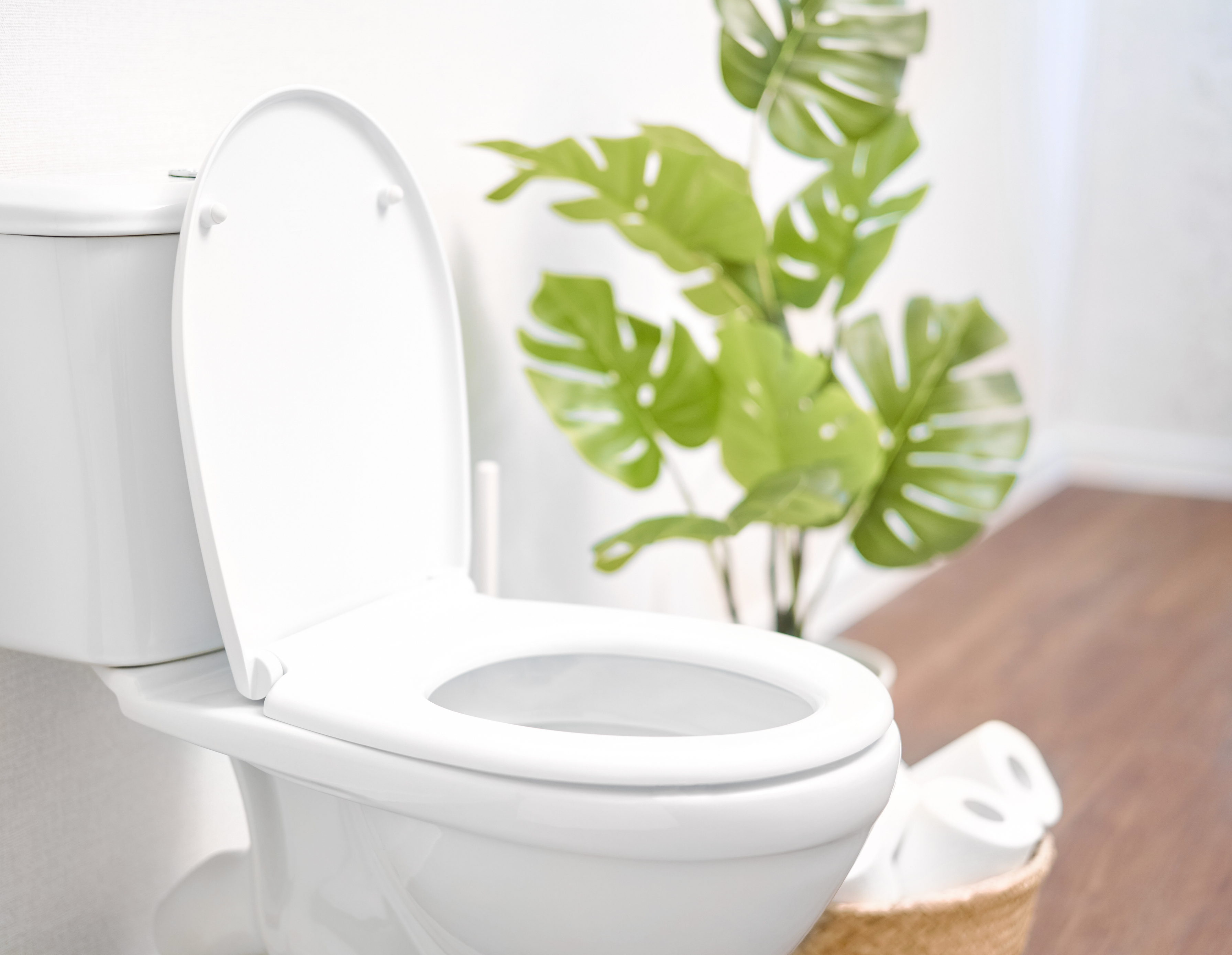Strahlend weiße Toilette | Credit: iStock.com/TanyaSid