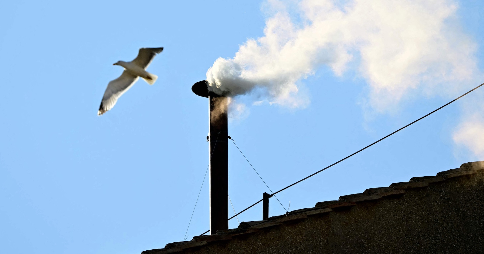 Weißer Rauch über der Sixtinischen Kapelle, blauer Himmel, eine Möwe