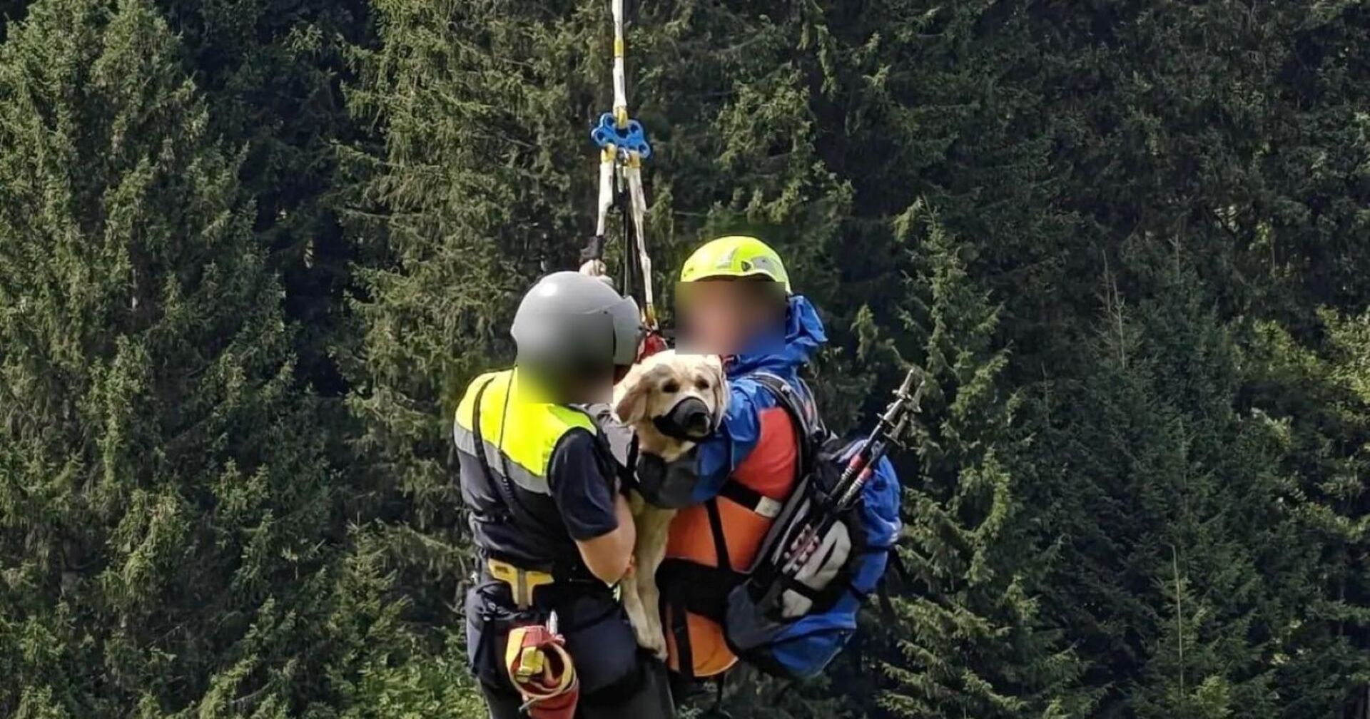 Zwei Mitglieder der Bergrettung und eine Hündin