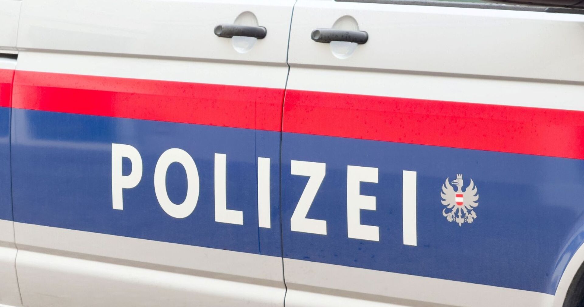 Außenansicht eines Polizeiwagens der österreichischen Polizei bei Tag