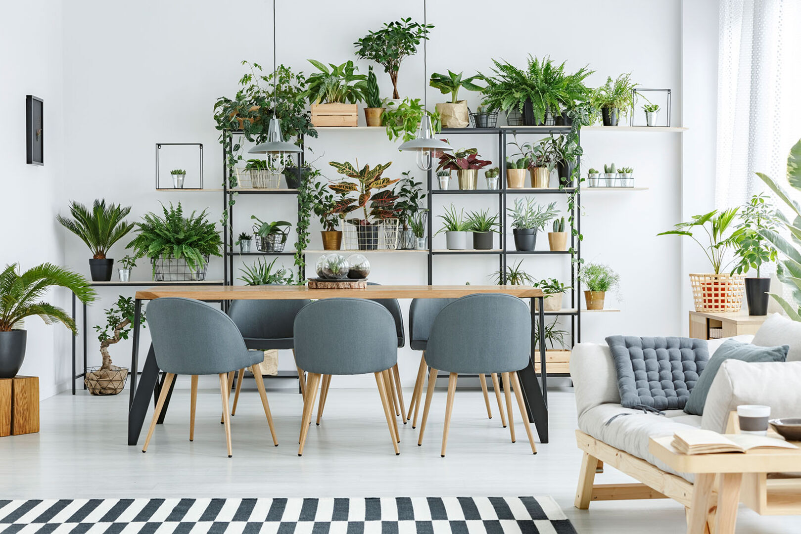 Esszimmer mit vielen Pflanzen | Credit: iStock.com/KatarzynaBialasiewicz