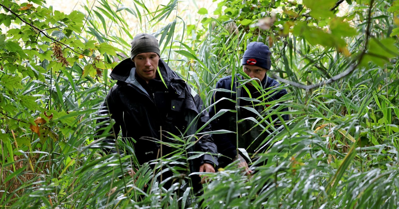 Polizisten und Suchkräfte arbeiten sich durch dichtes Schilf am Inselsee bei Güstrow während der Suche nach dem vermissten Fabian.